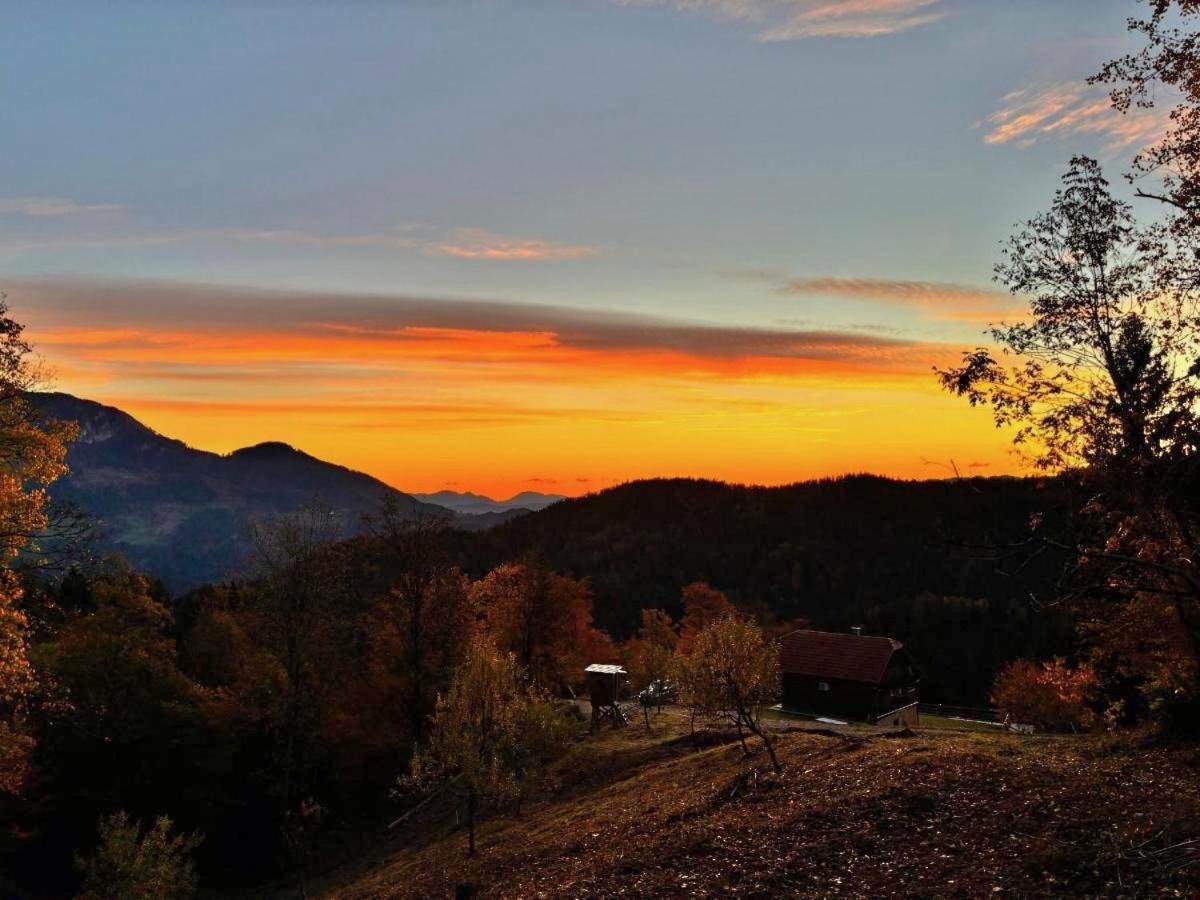 Sedmakovo - Počitniška hiša v naravi - Ljubno ob Savinji