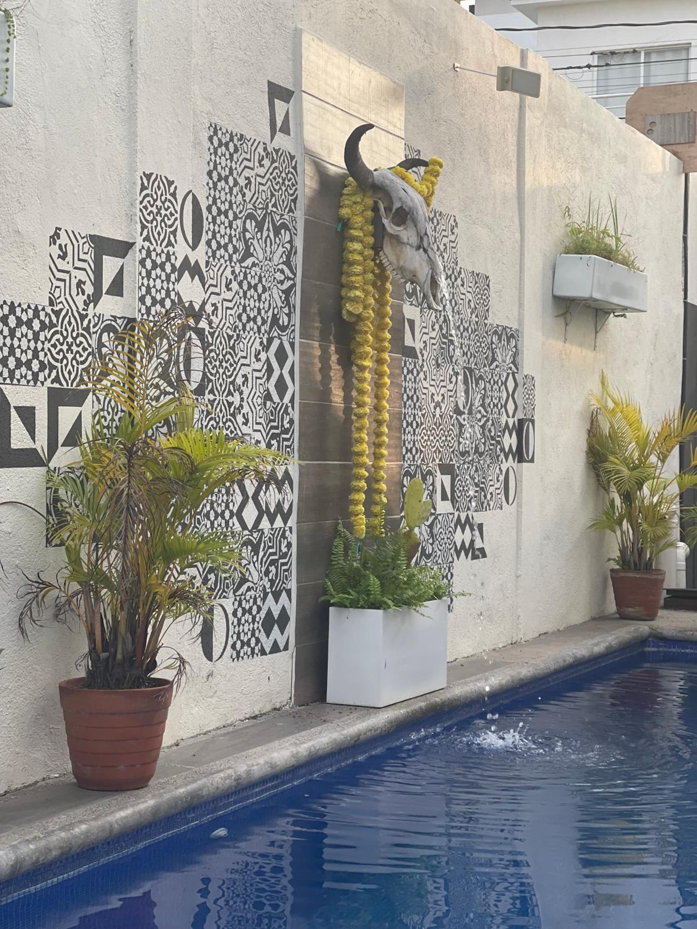 Casita El Nido- Spacious 2 Bedroom Main Floor Apartment