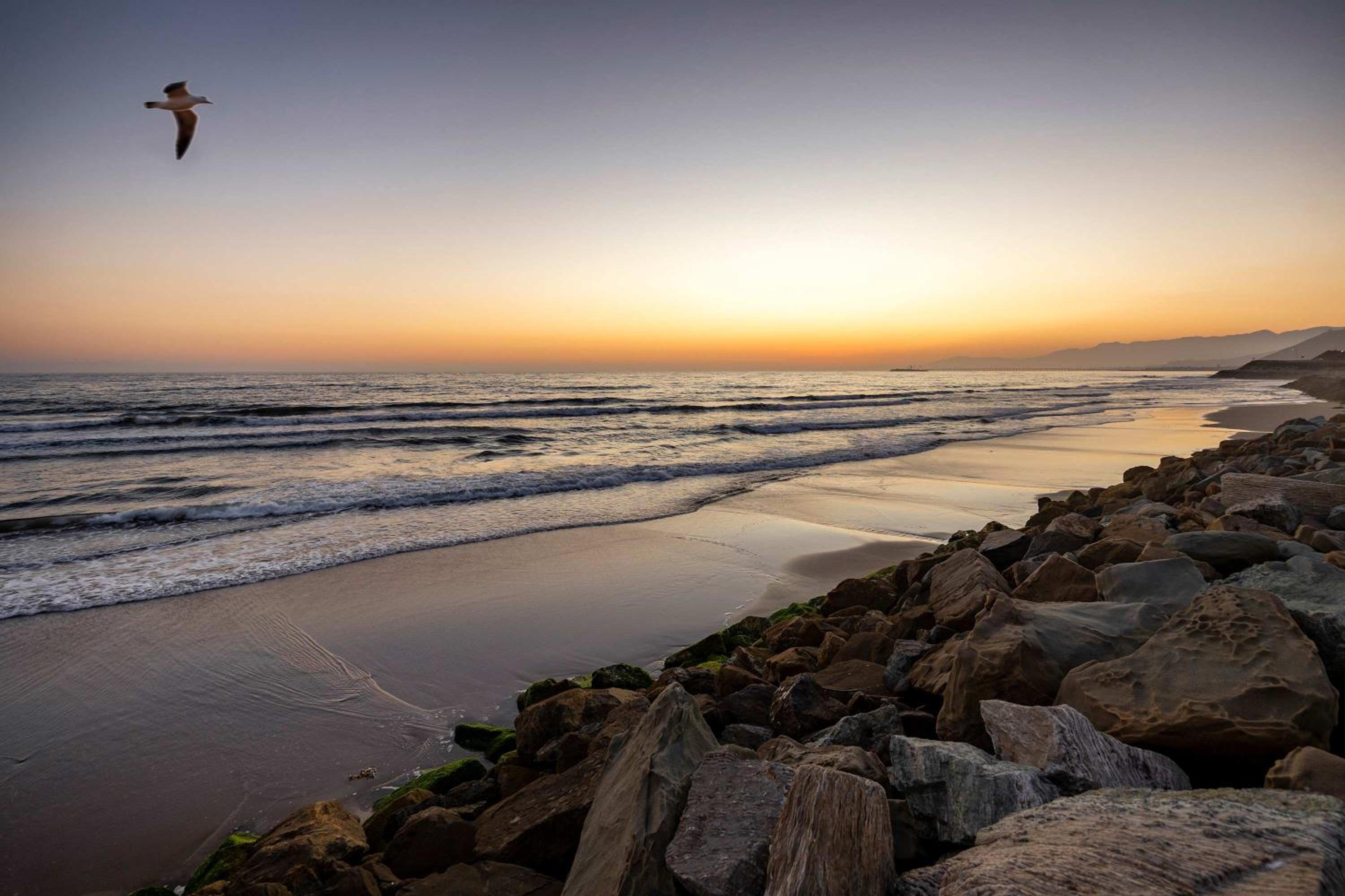 Rincon Refuge - Beachfront for 6
