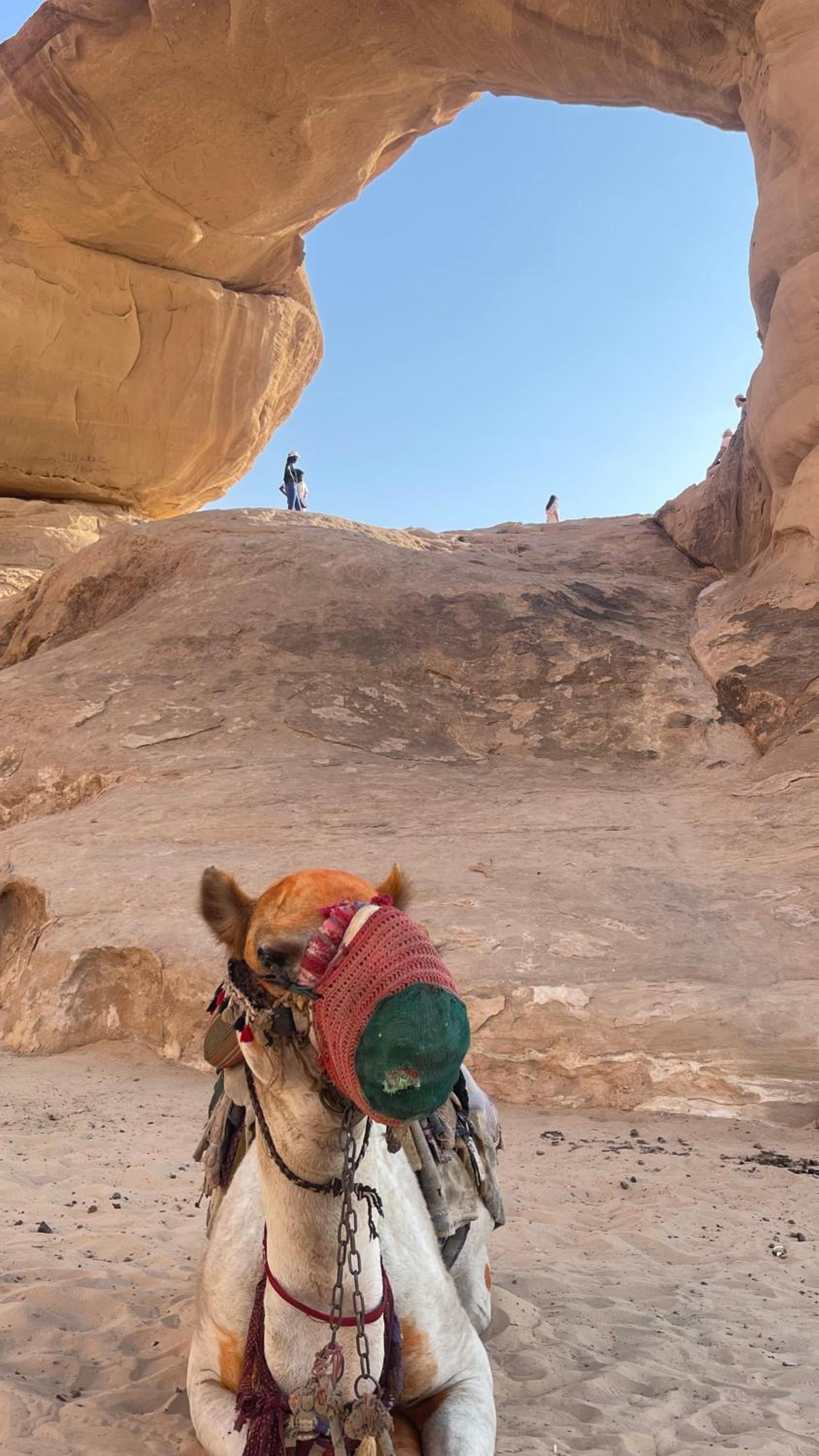 Aethera Sky Retreat Wadi Rum