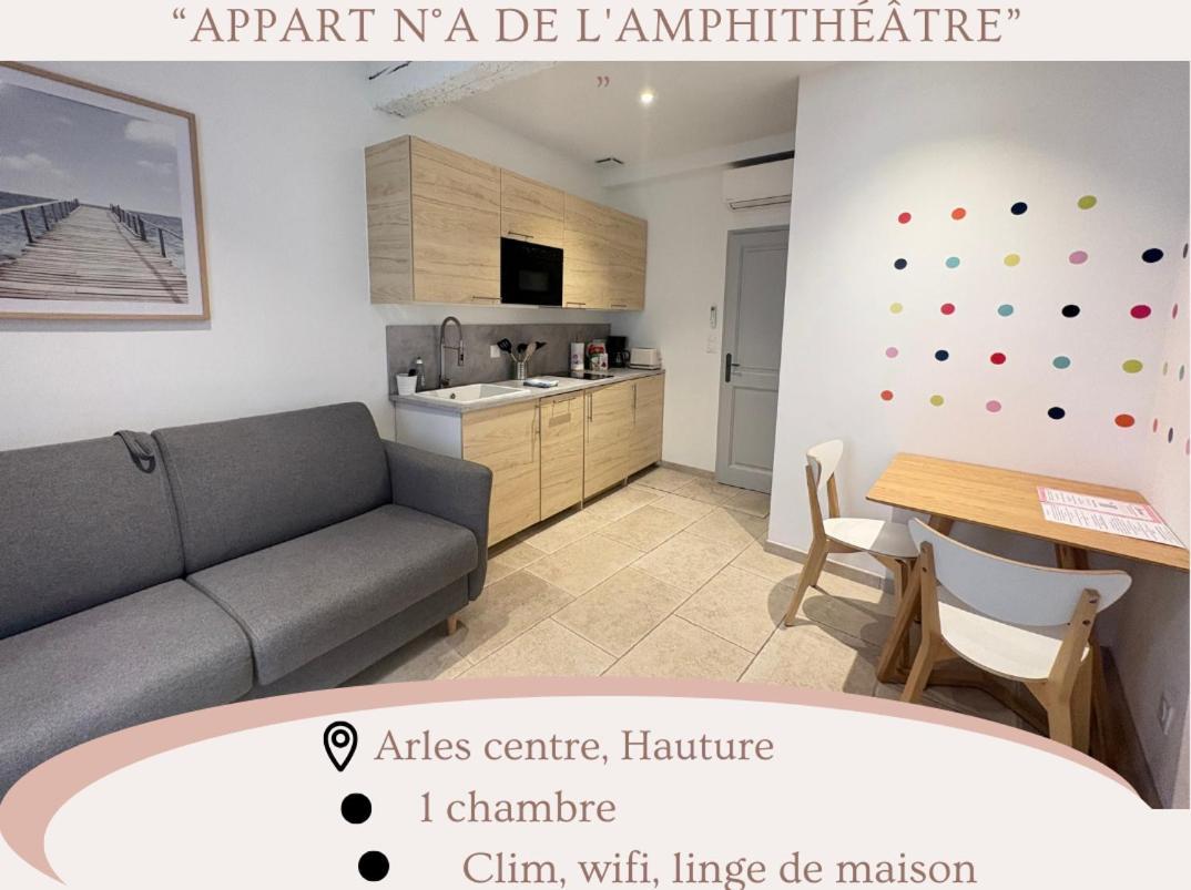 Holiday in Arles: Appartement de l'Amphithéâtre