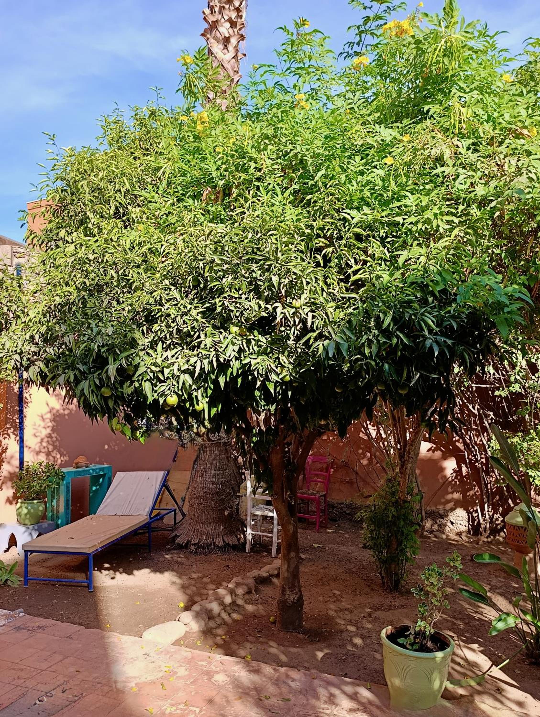 Villa with Private Pool and Garden, Fast Wi-Fi