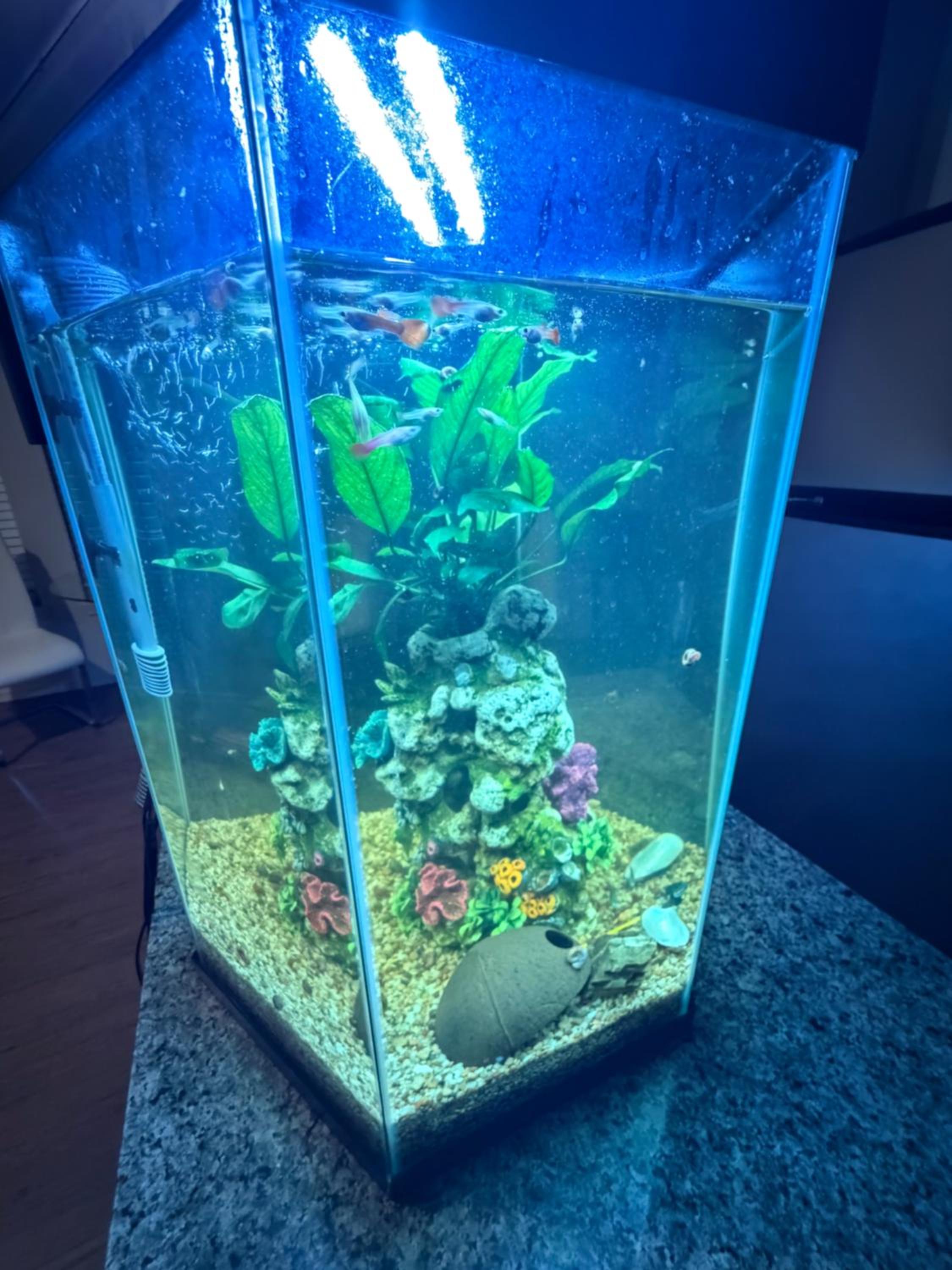 Townhome with fish Tank & Private Garage