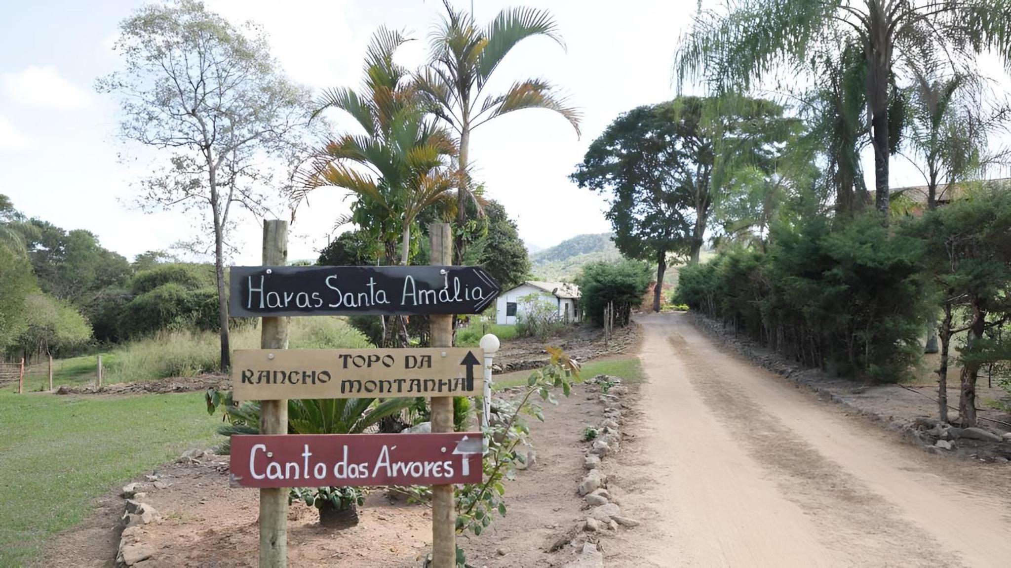 Canto das Árvores - Nova União MG