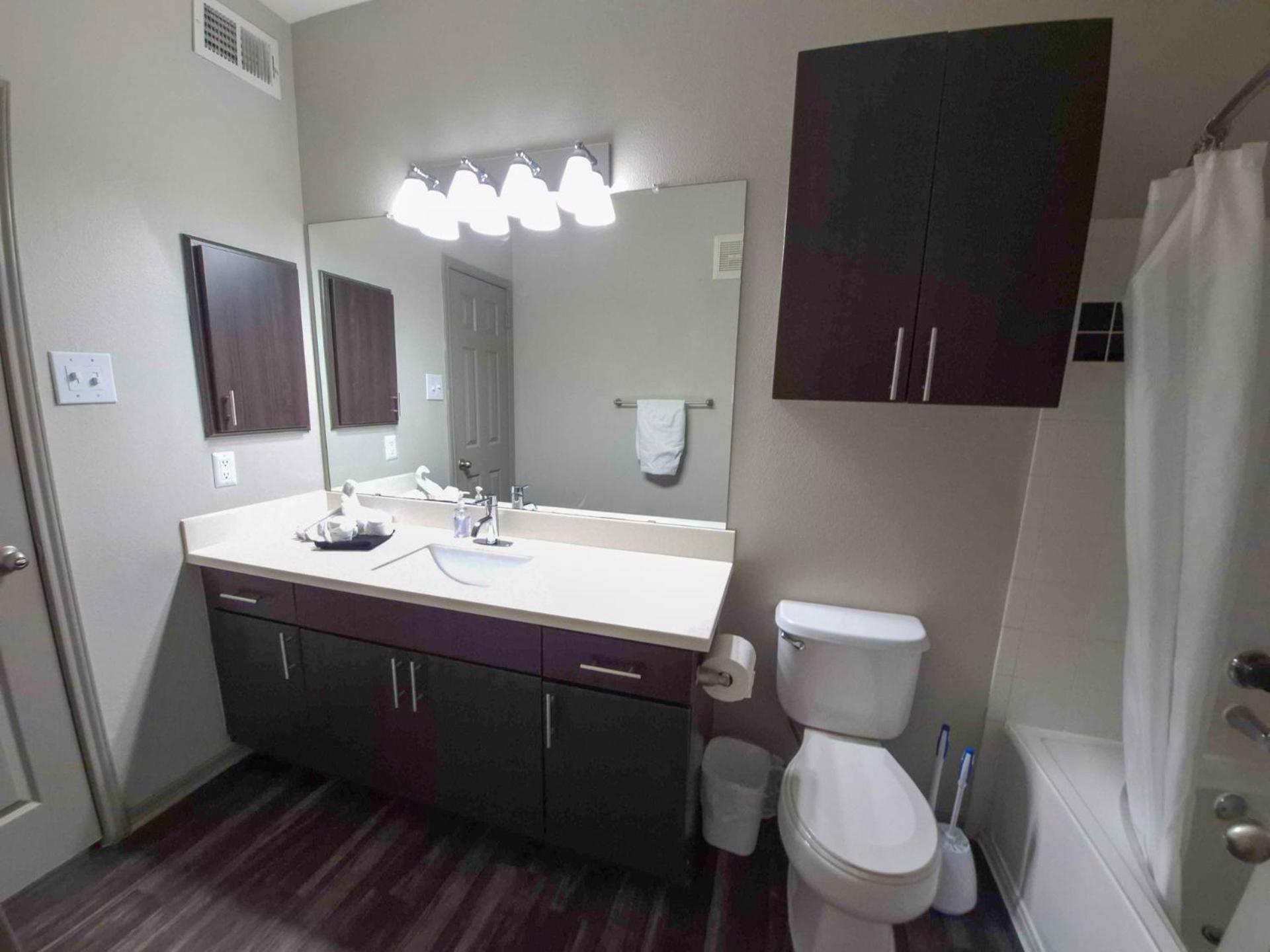 Furnished apartments next to the Domain