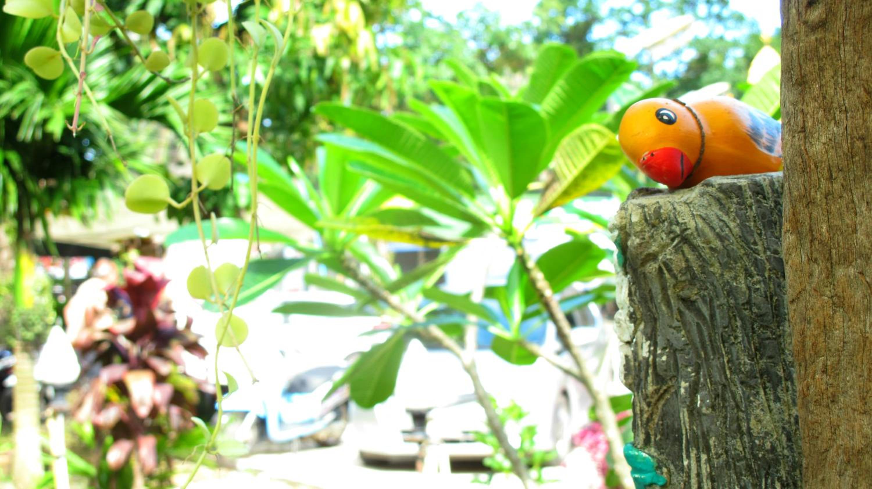 Sea-Sun Bungalow & Resort