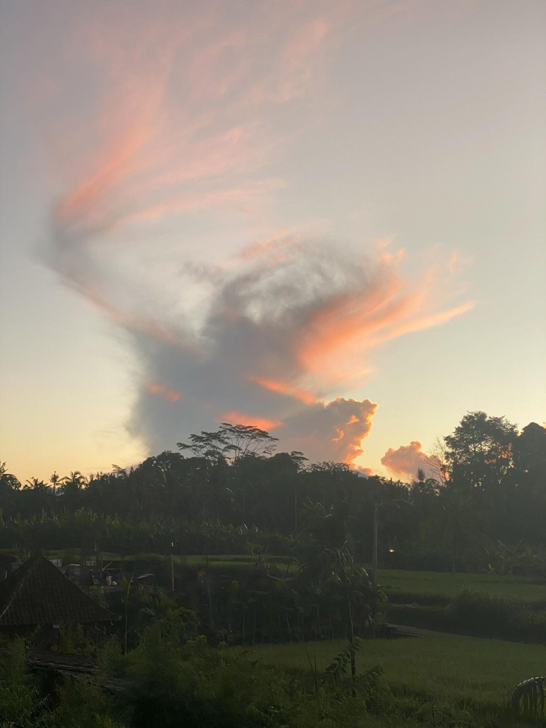 ElForest Villa Ubud, Payangan