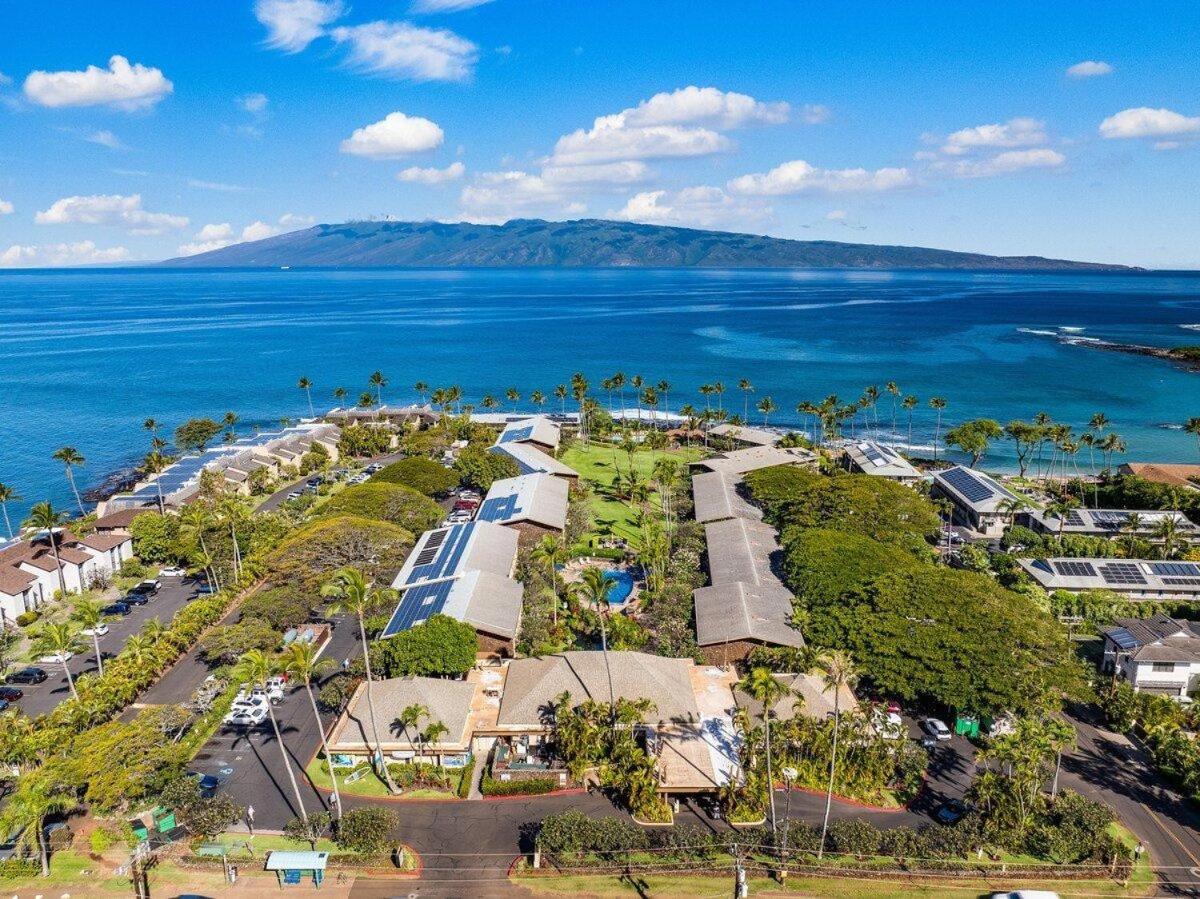 Napili Shores D227 · NS D227 OceanFront Resort w Pool