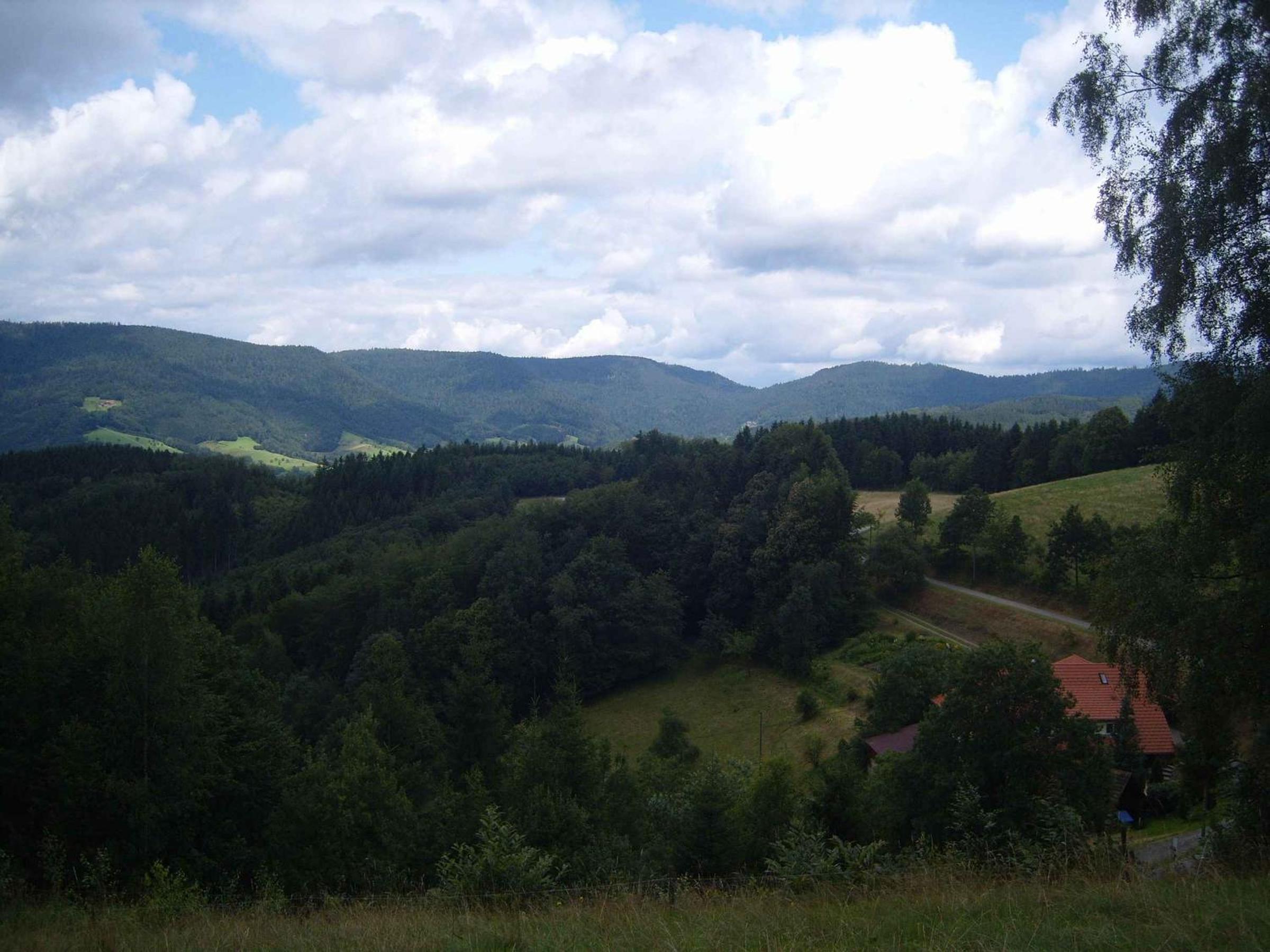 Photo 22