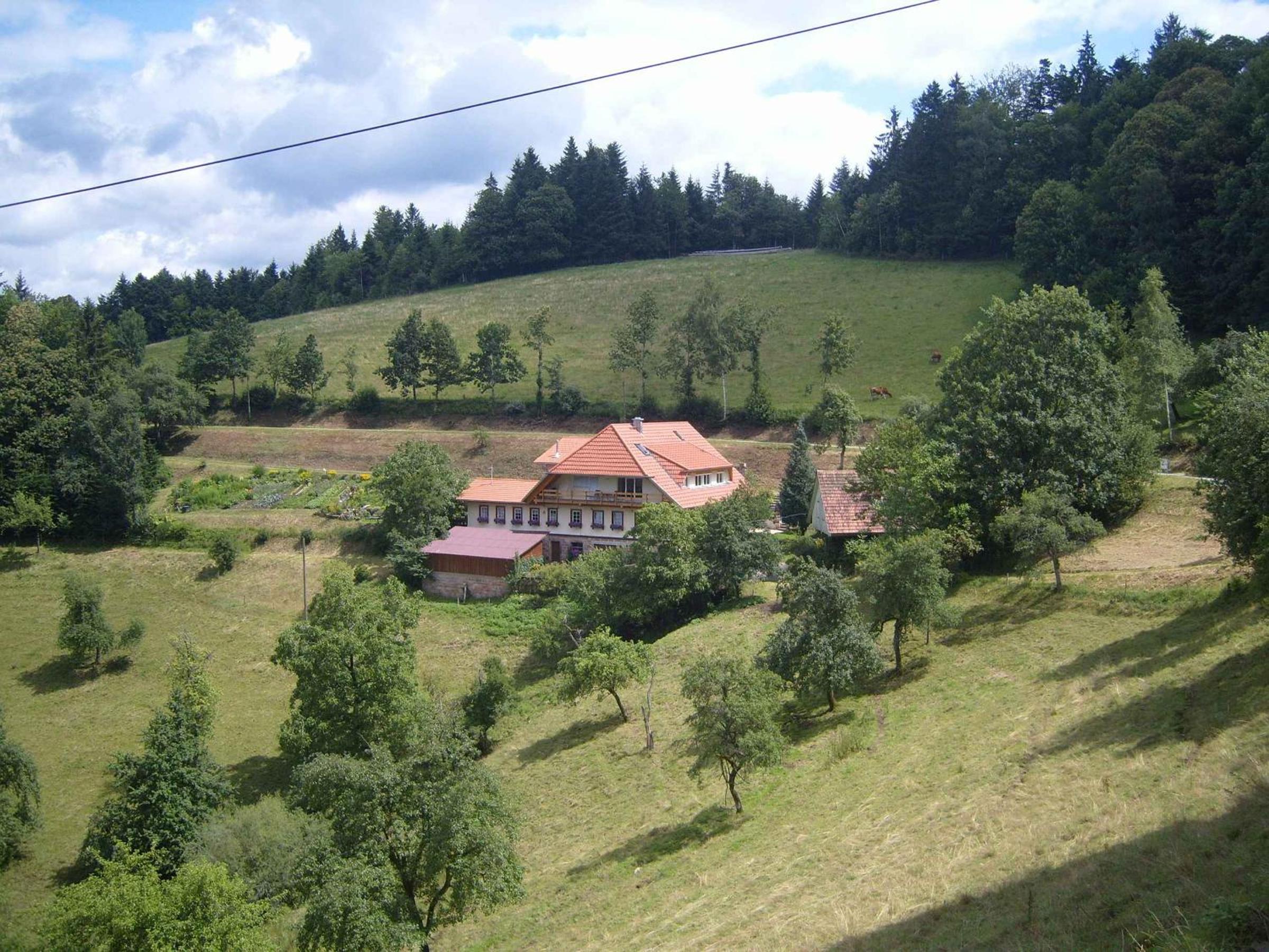 Photo 14