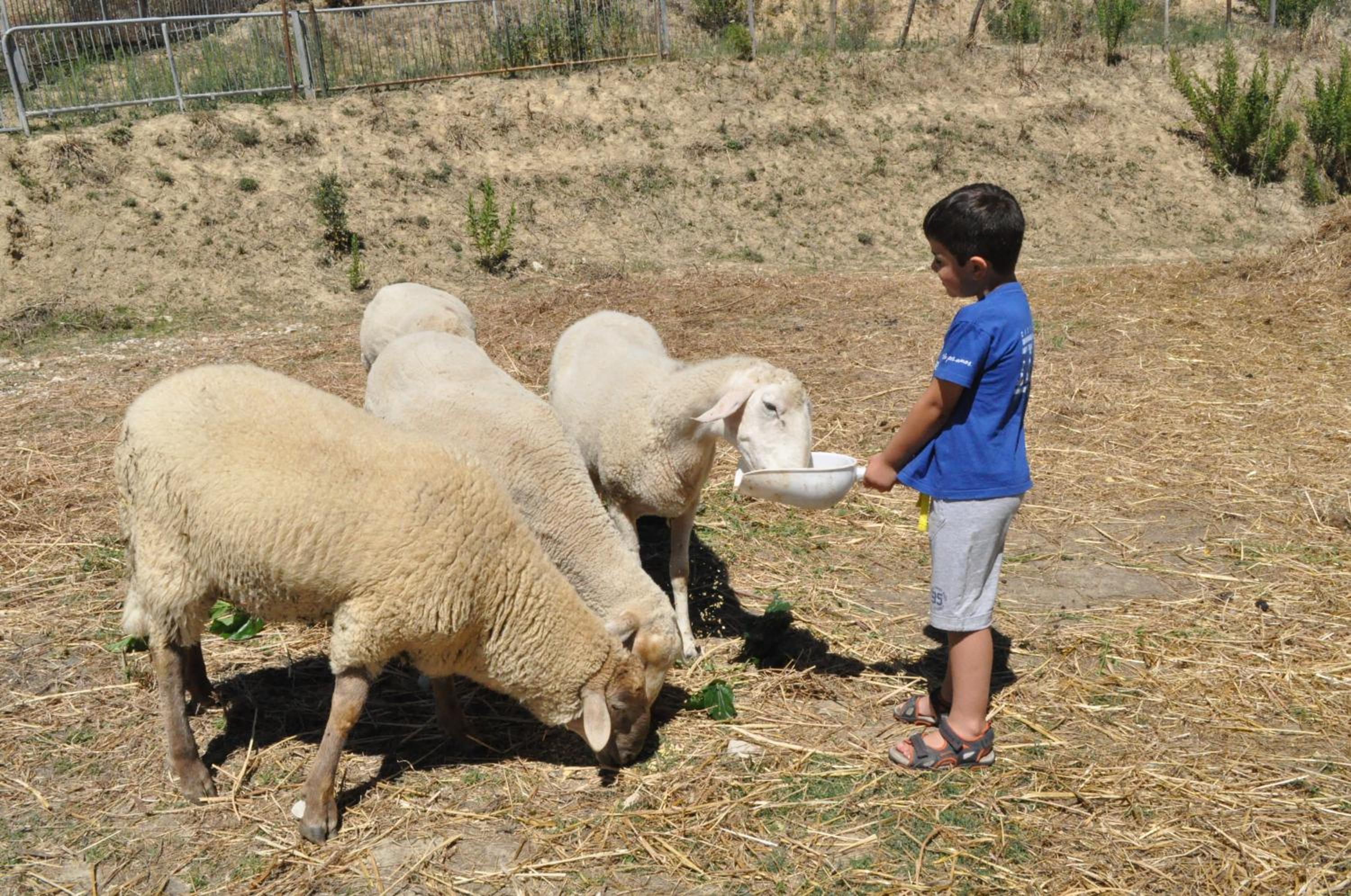 Farm stay Il Carro del Colle