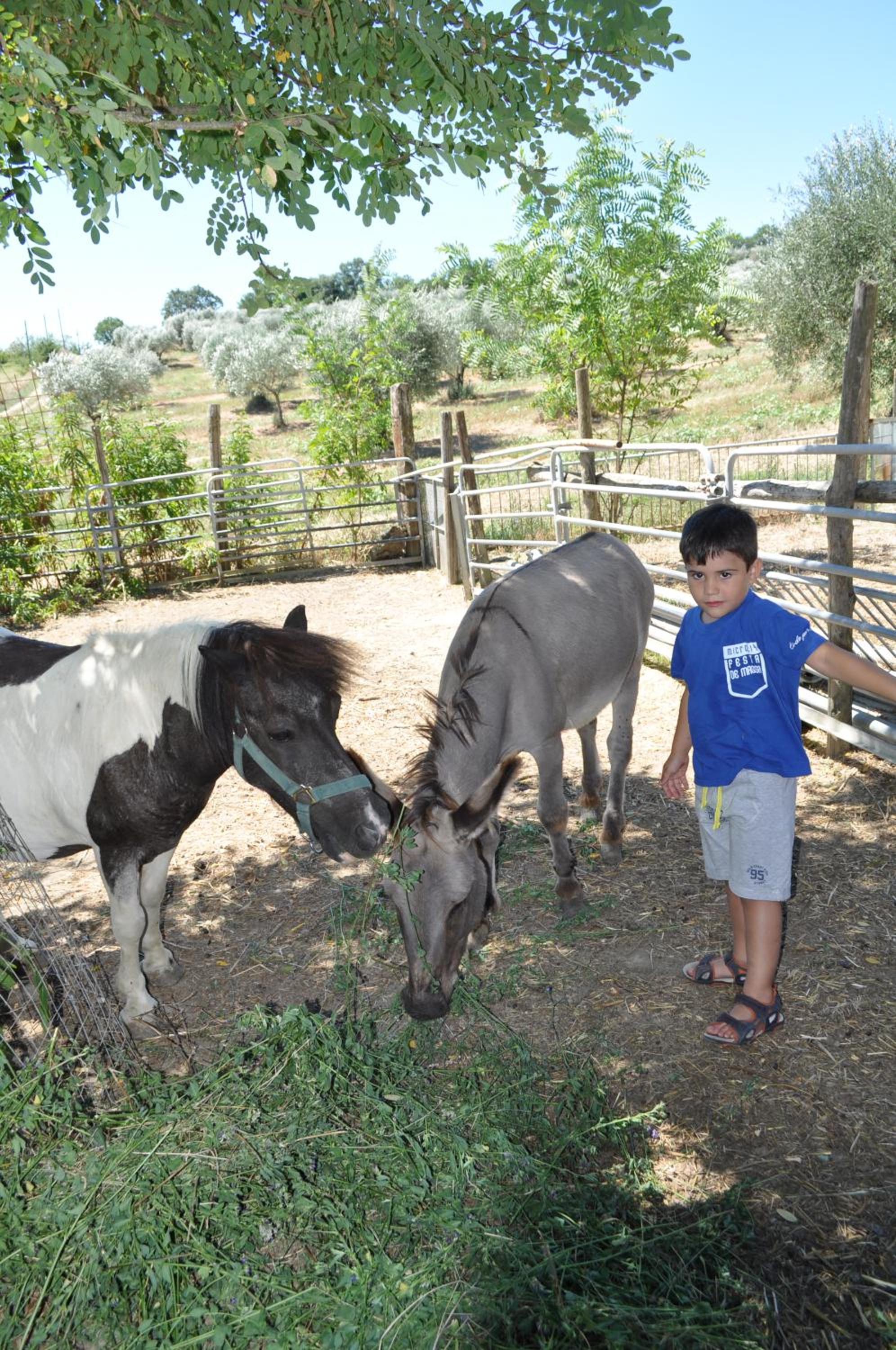 Farm stay Il Carro del Colle