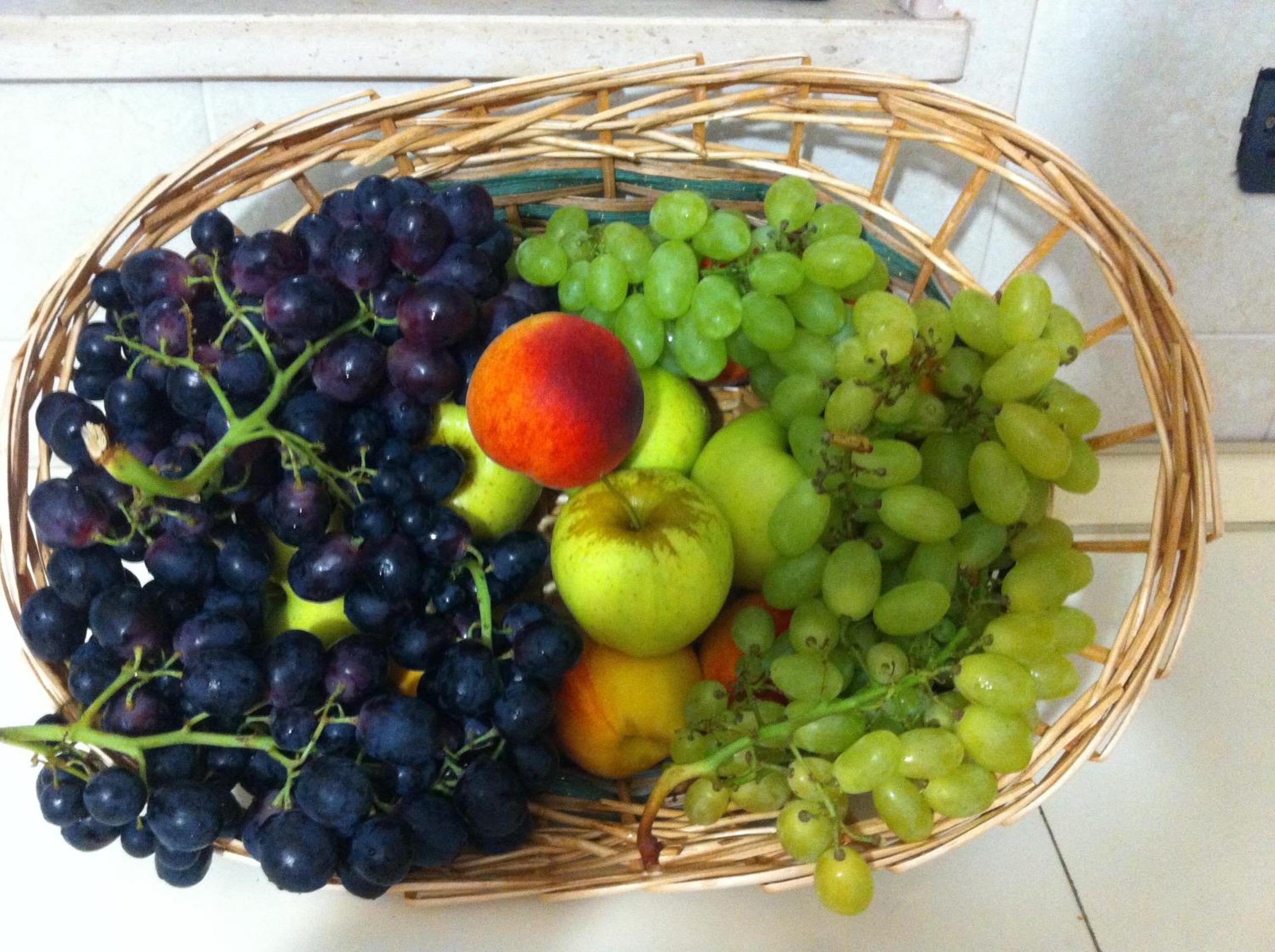 Photo 40