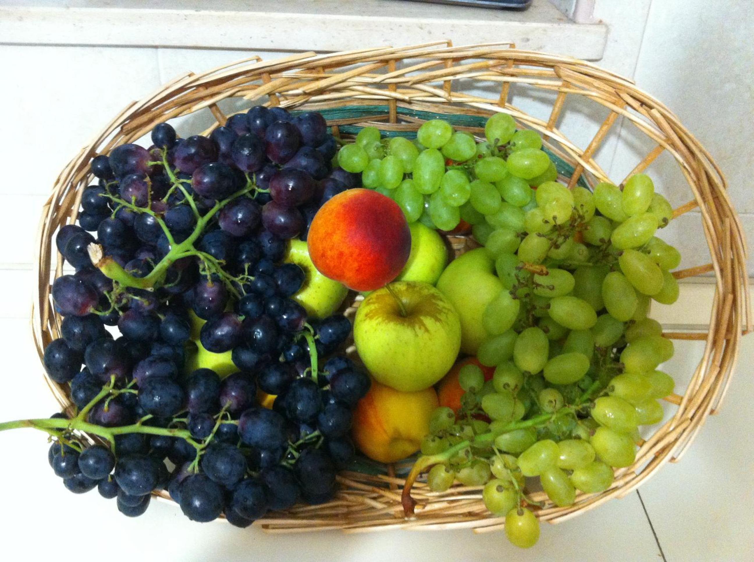 Photo 42