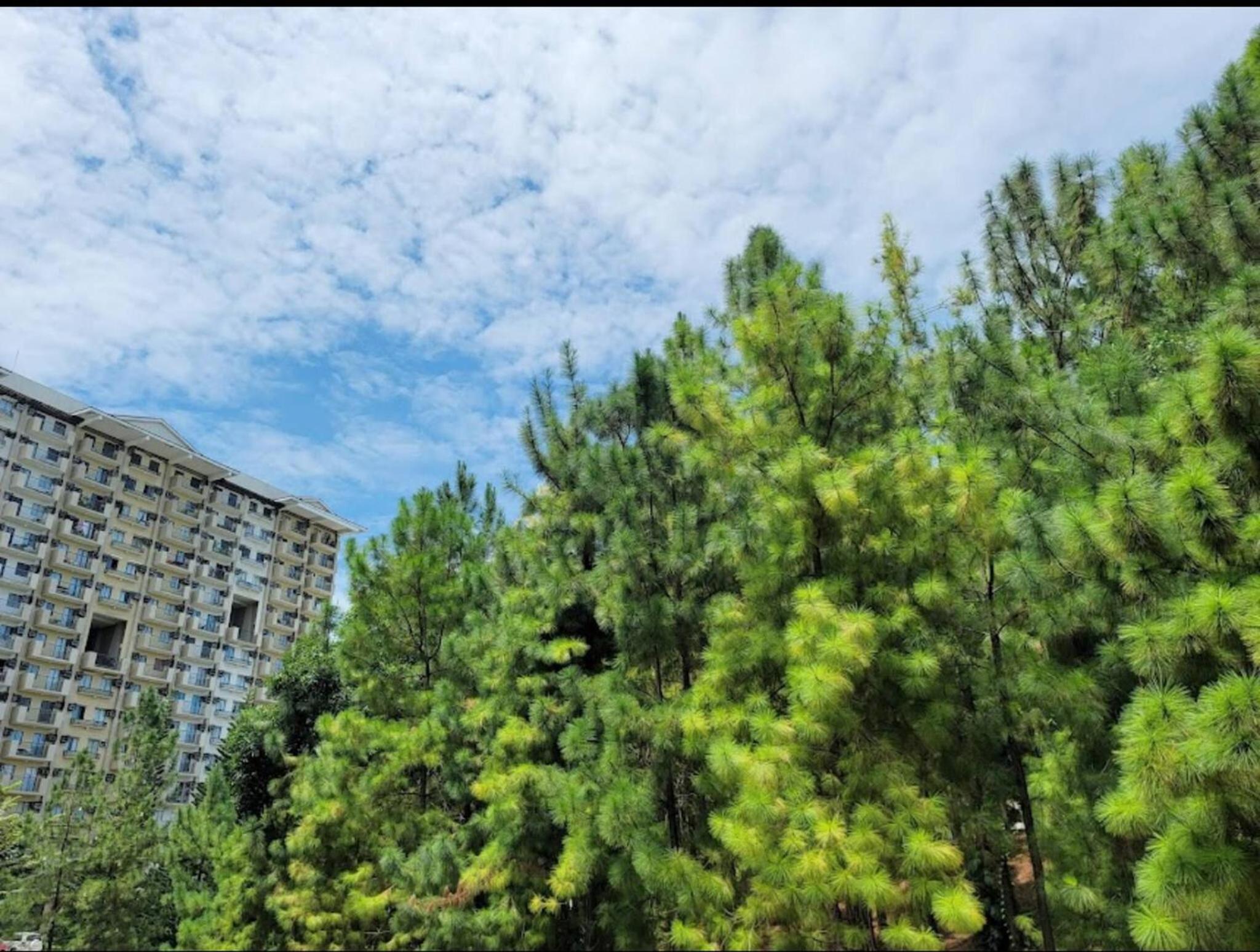 Optomum Davao City Apartment for Rent - Peaceful Living near Abreeza Mall