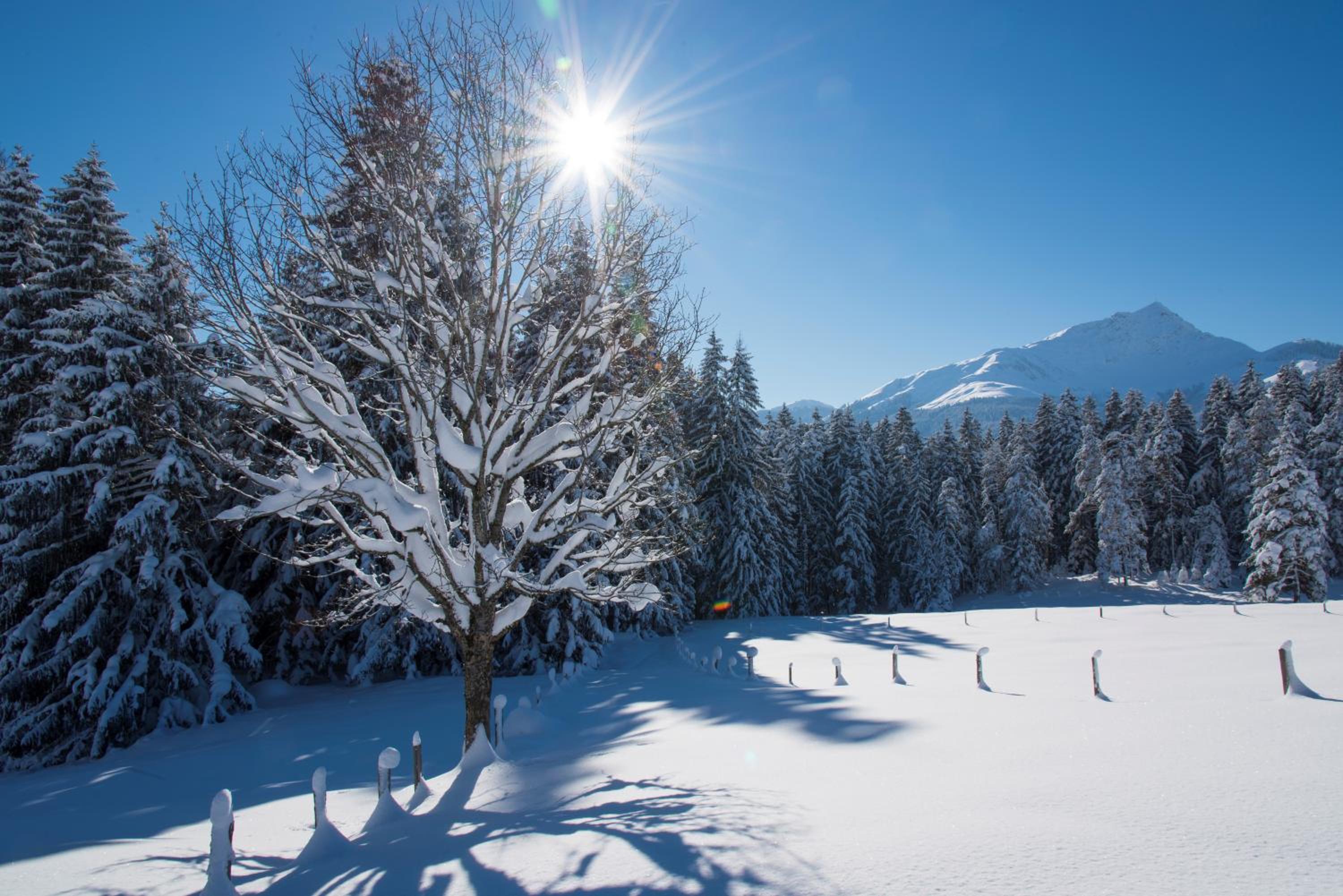 Chalet Florian