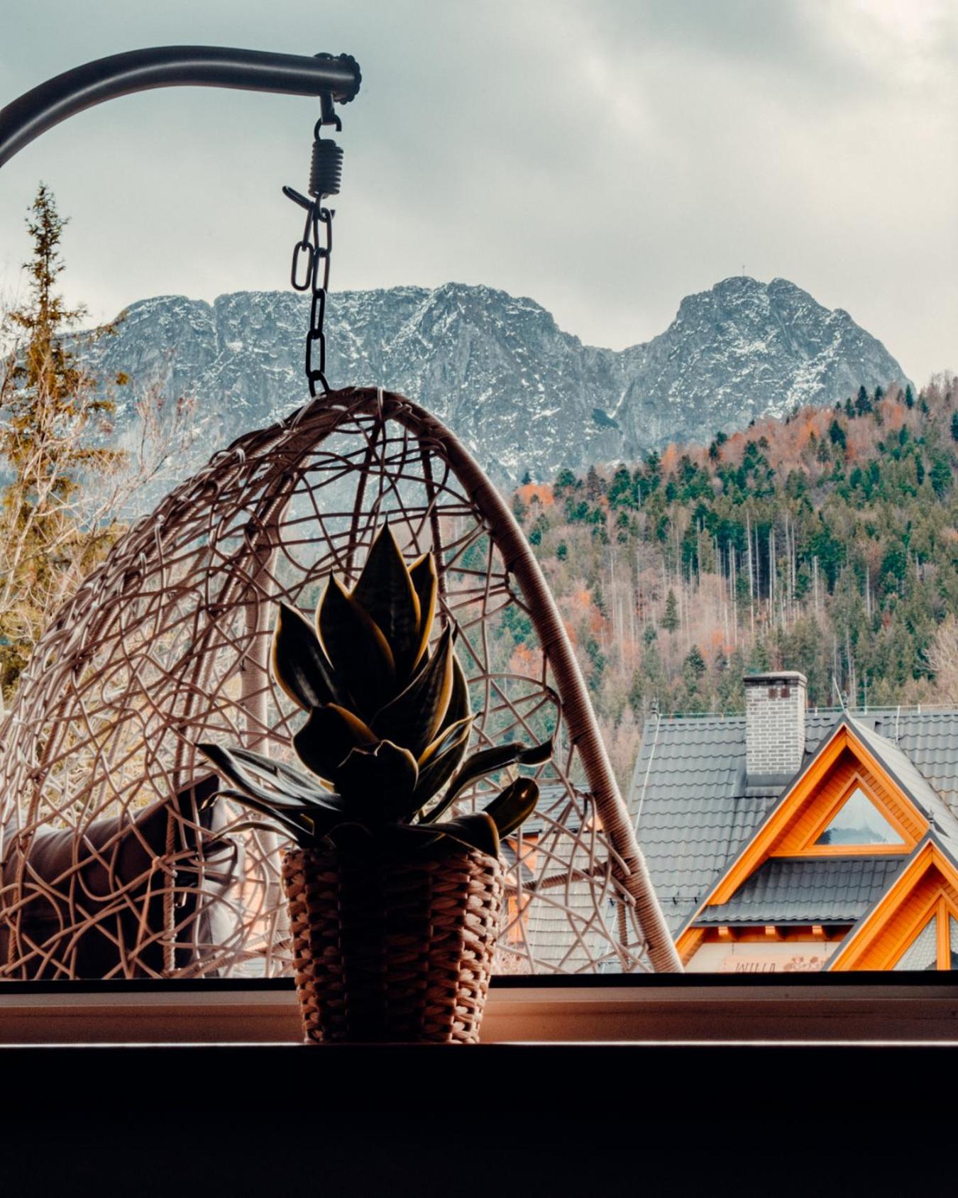 Giewont Mountain View Apartment