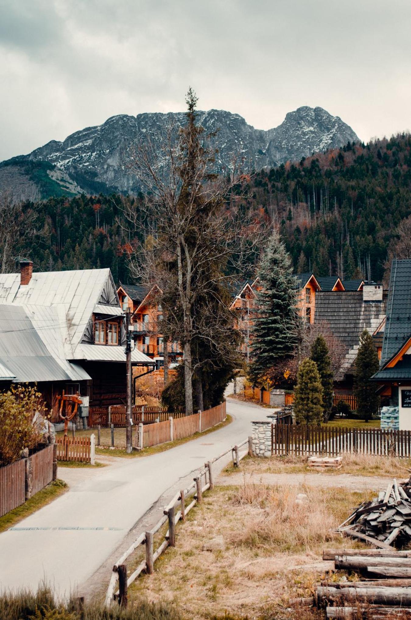 Giewont Mountain View Apartment