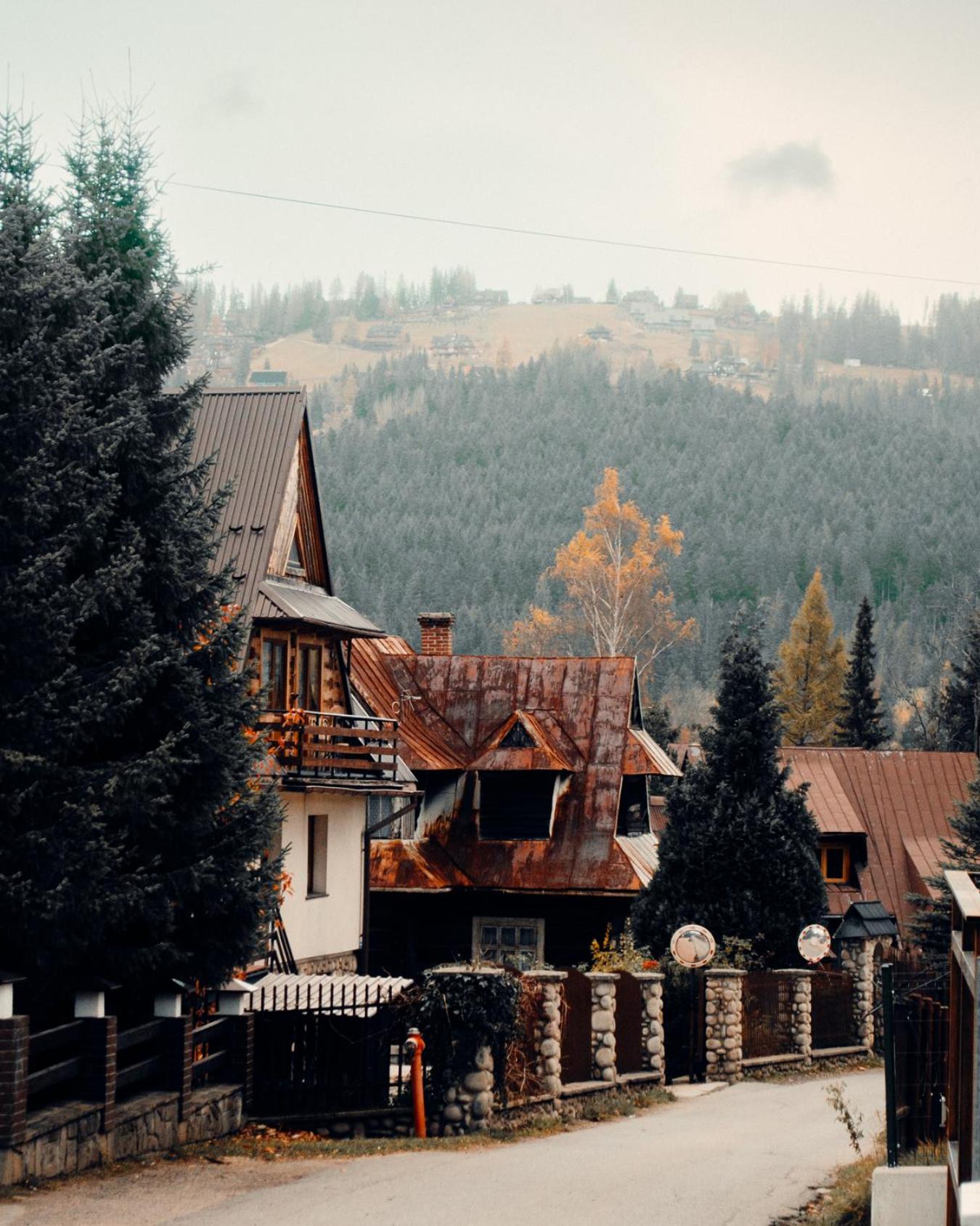 Giewont Mountain View Apartment