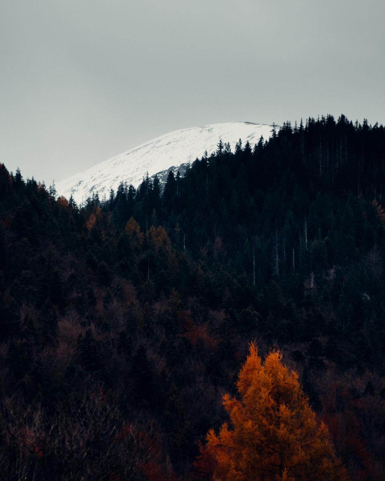 Giewont Mountain View Apartment