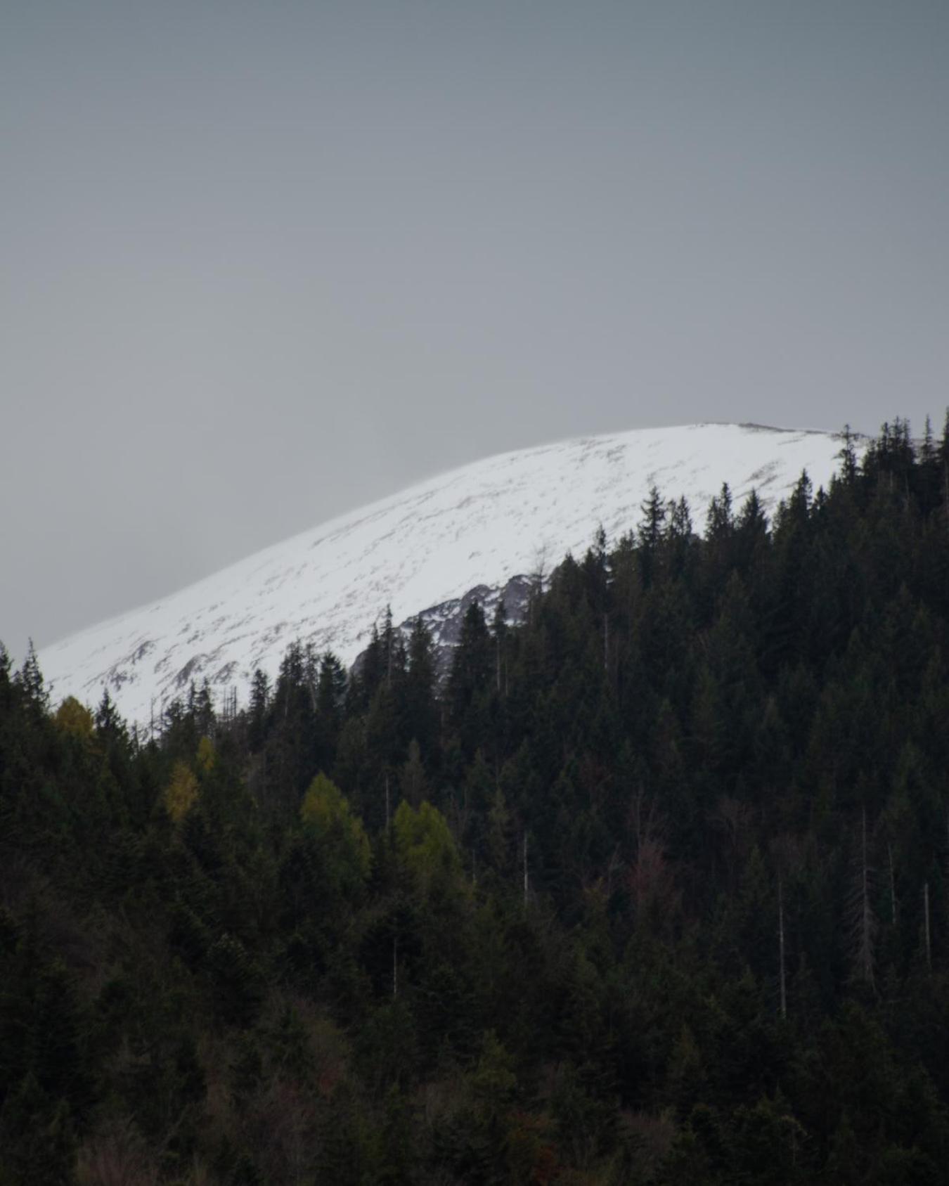 Giewont Mountain View Apartment