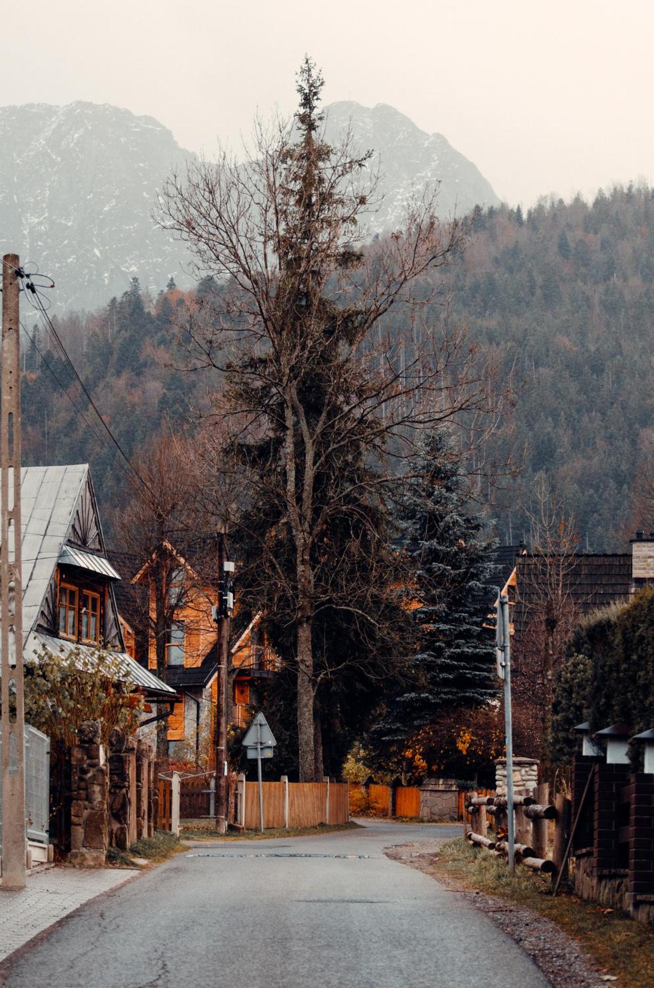 Giewont Mountain View Apartment