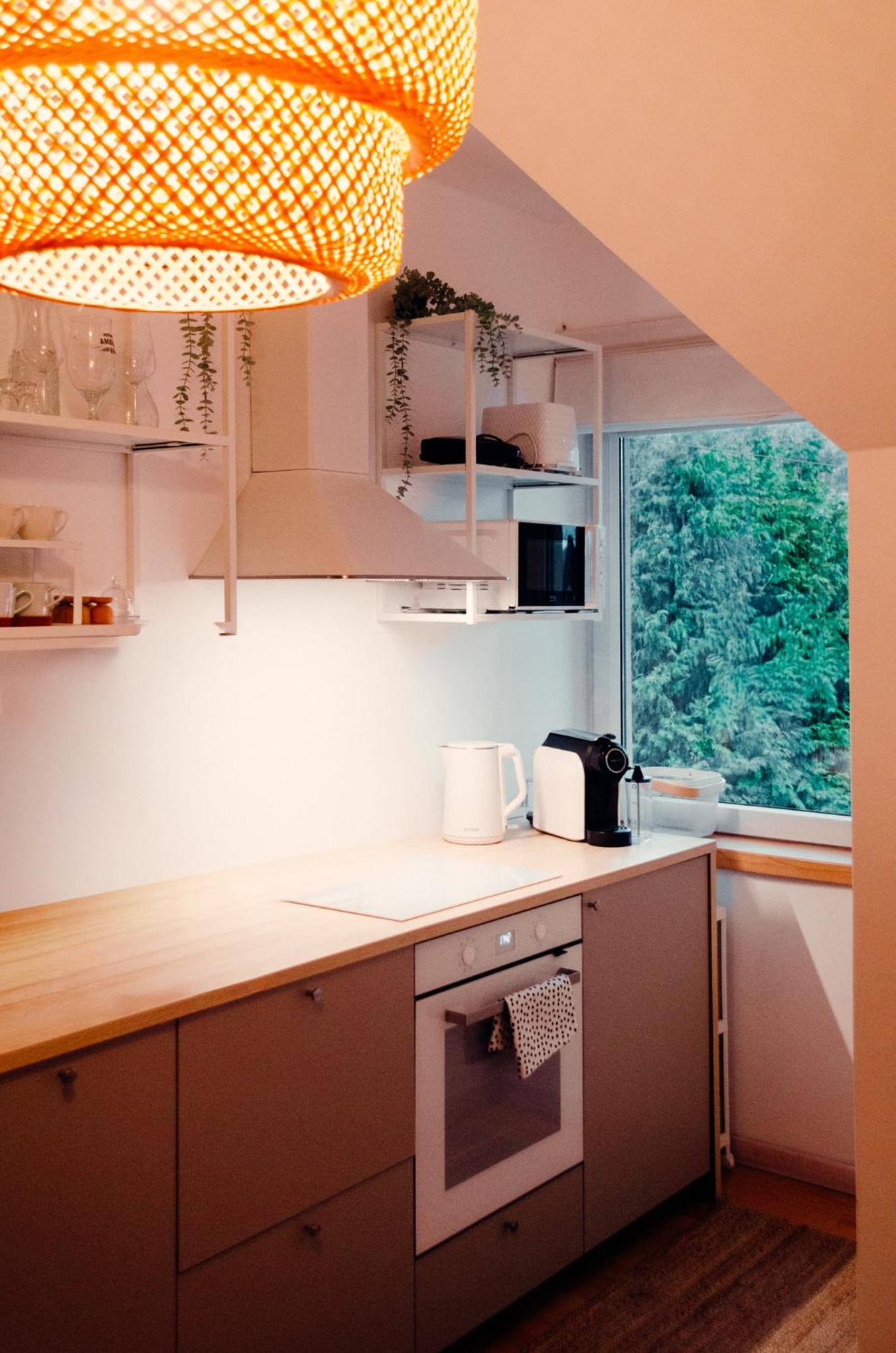 Giewont Mountain View Apartment