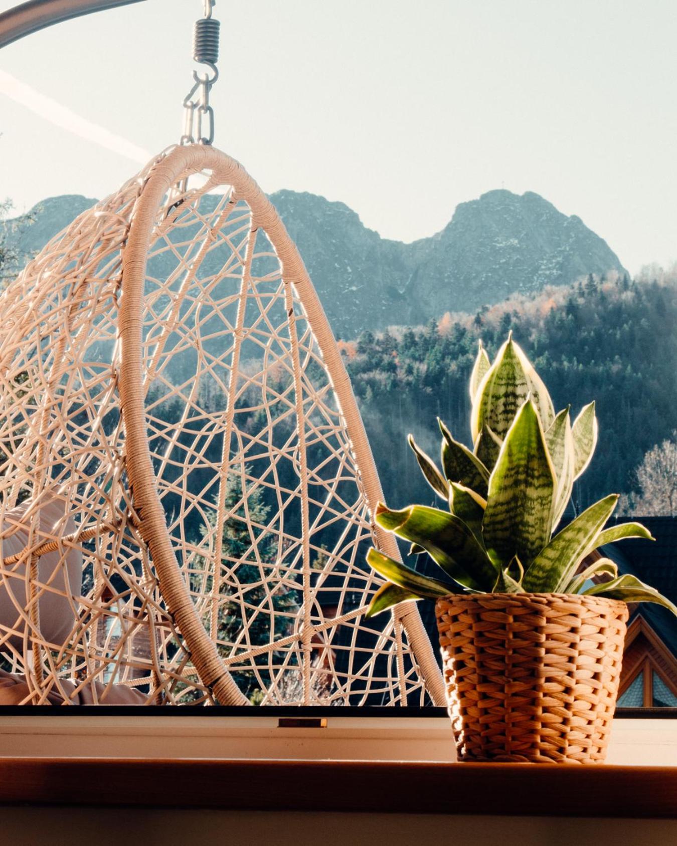 Giewont Mountain View Apartment