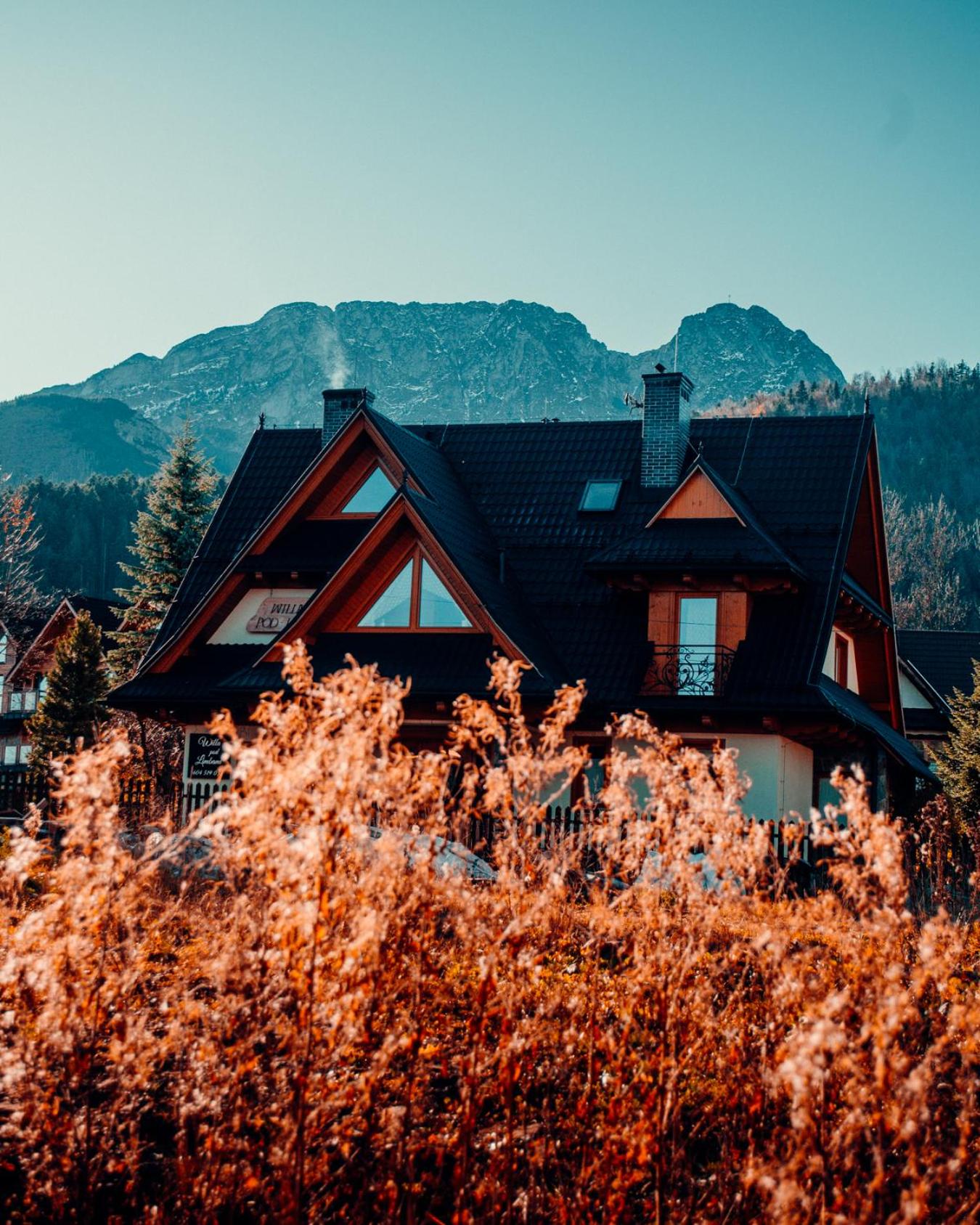 Giewont Mountain View Apartment