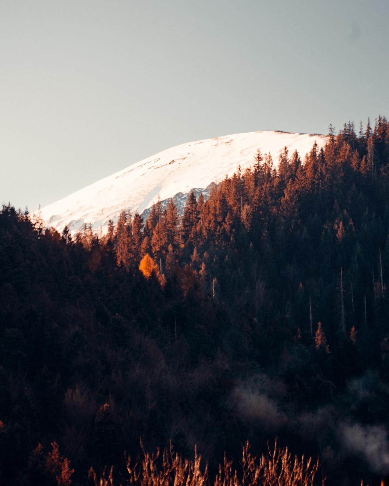 Giewont Mountain View Apartment