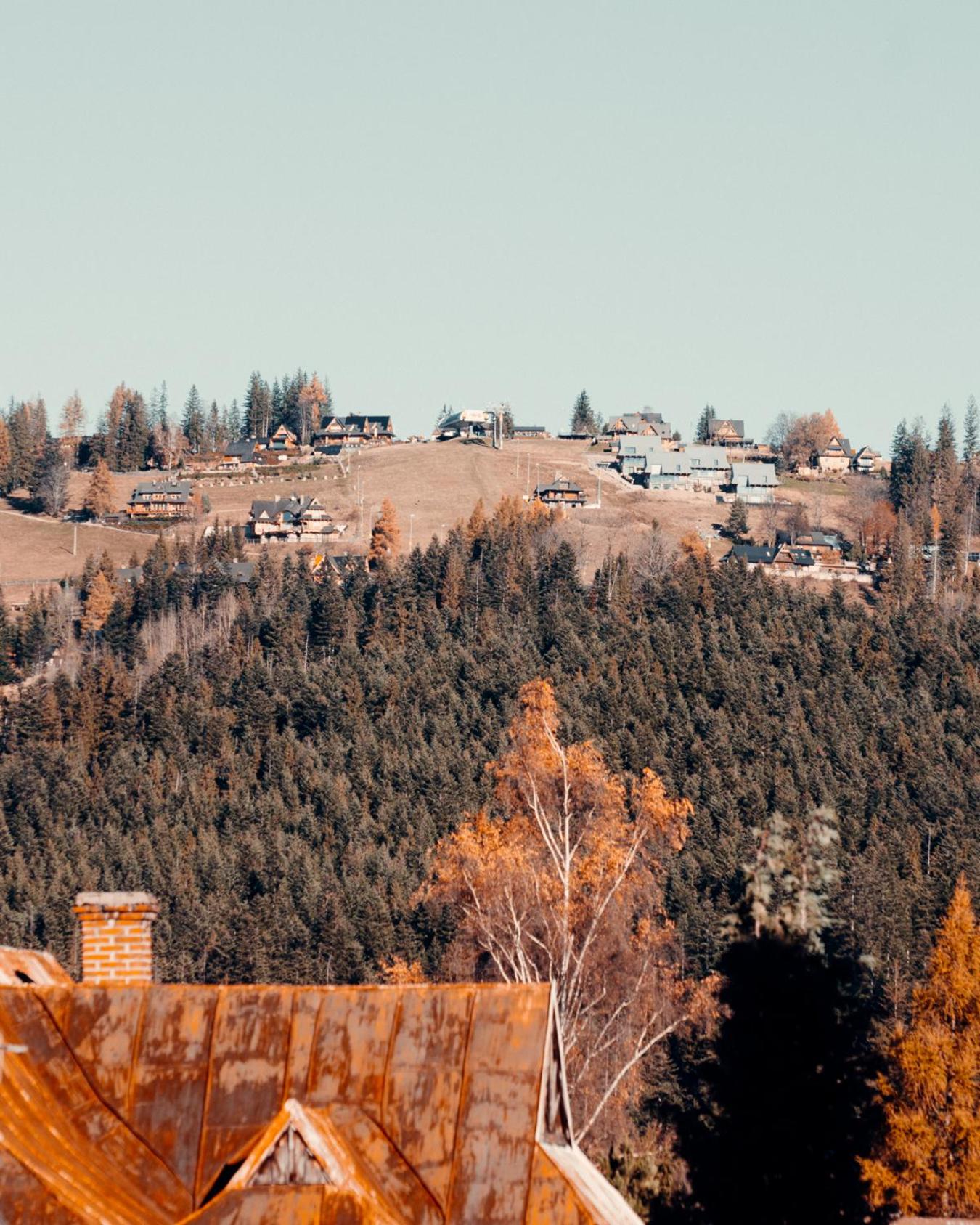 Giewont Mountain View Apartment