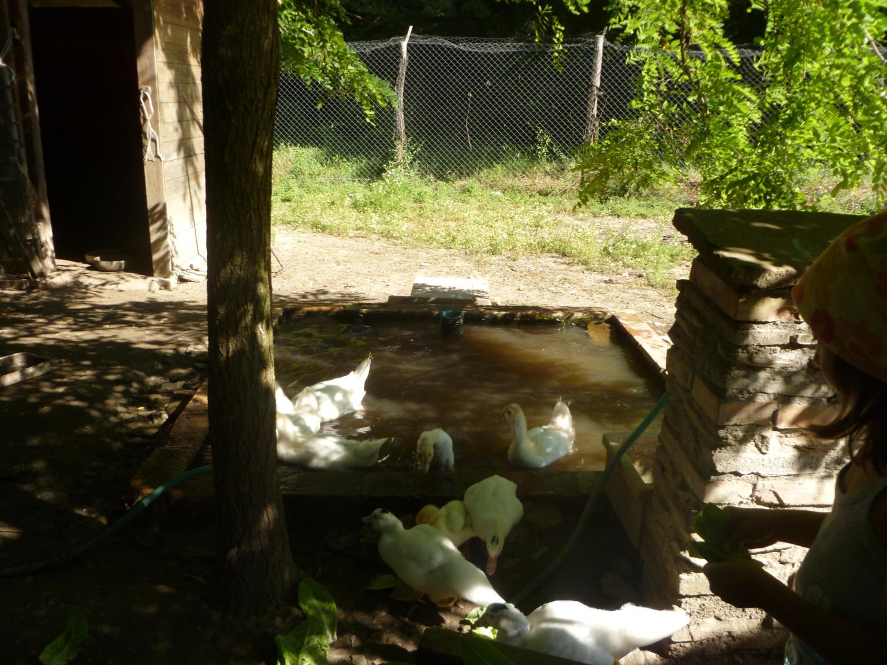 Photo 17
