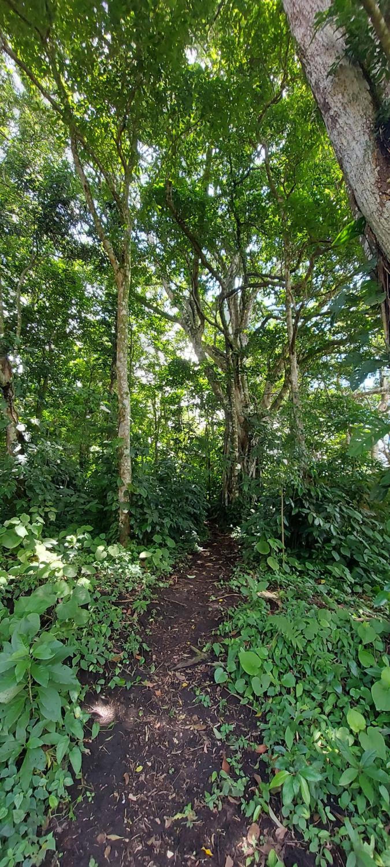 Bosquelago houserental