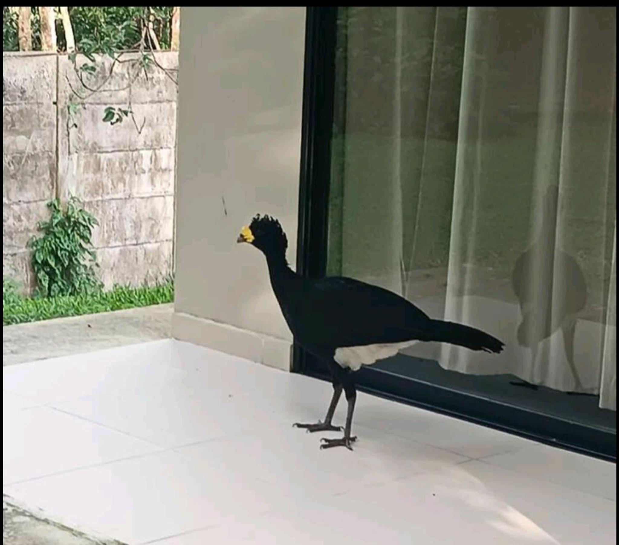 Bosquelago houserental