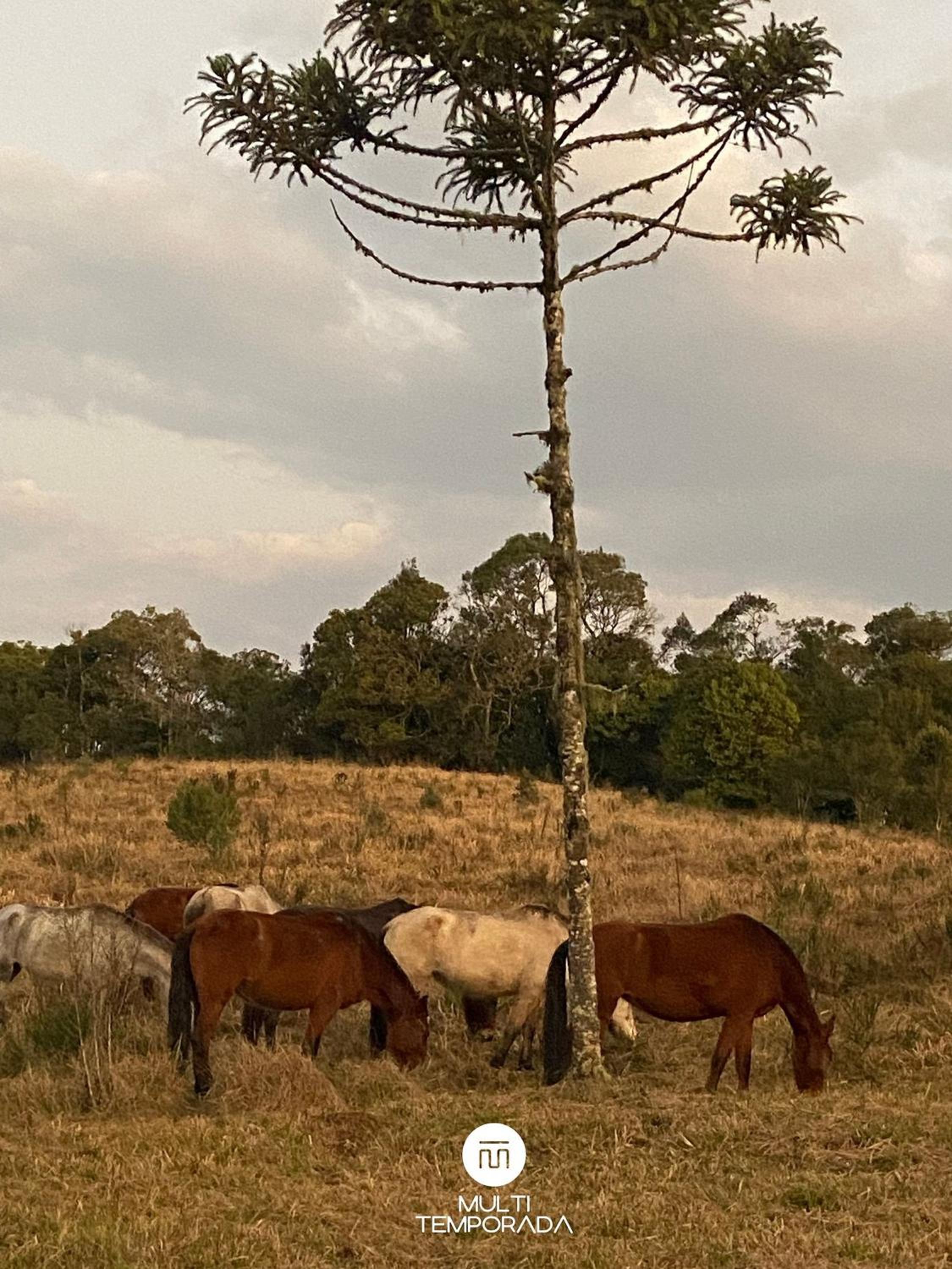 Via Kairós - Rancho Queimado/SC