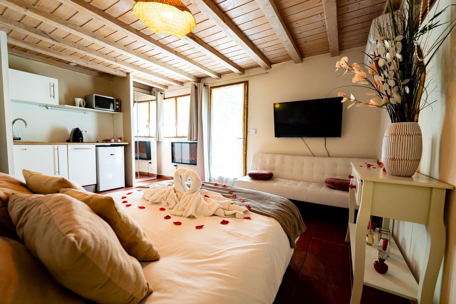 Studio romantique jacuzzi ou spa balneo privatif et jardin Au temps des cerises La Ciotat, photo 18