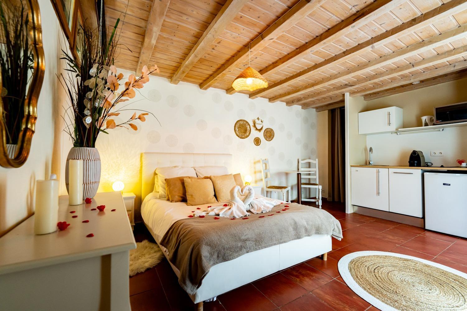 Studio romantique jacuzzi ou spa balneo privatif et jardin Au temps des cerises La Ciotat, photo 21