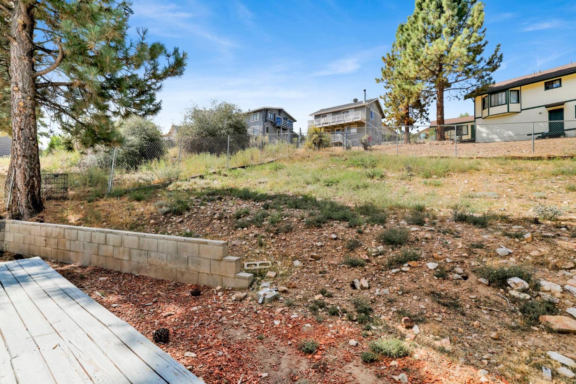 Play Big Bear #2580