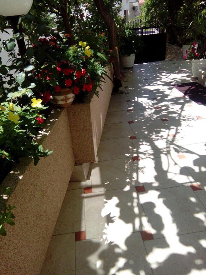 Photo 45