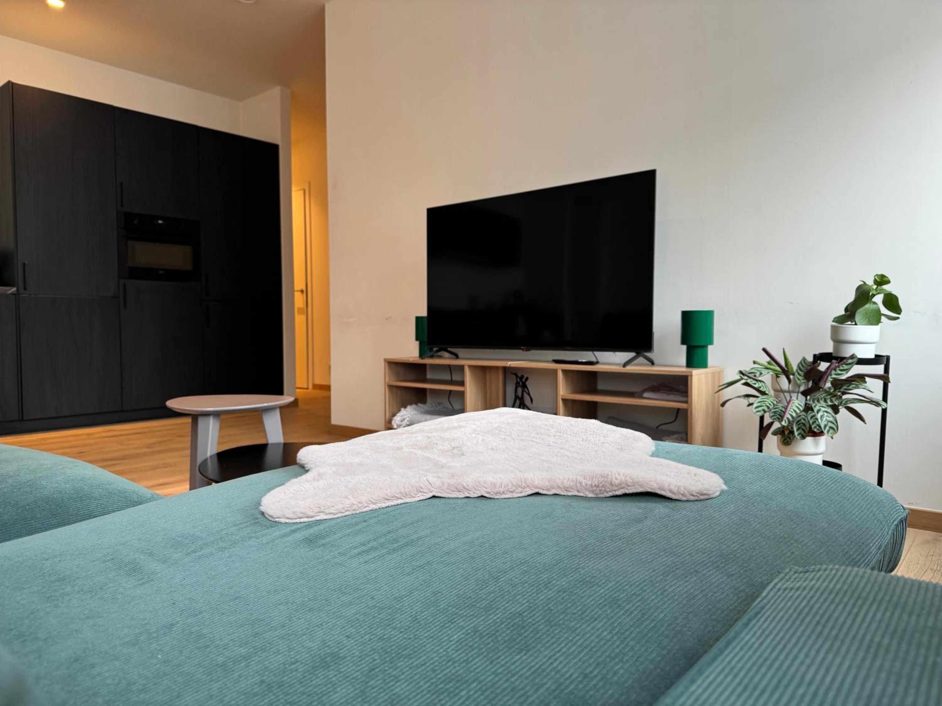 Downtown Spacious Design Duplex 3bedR