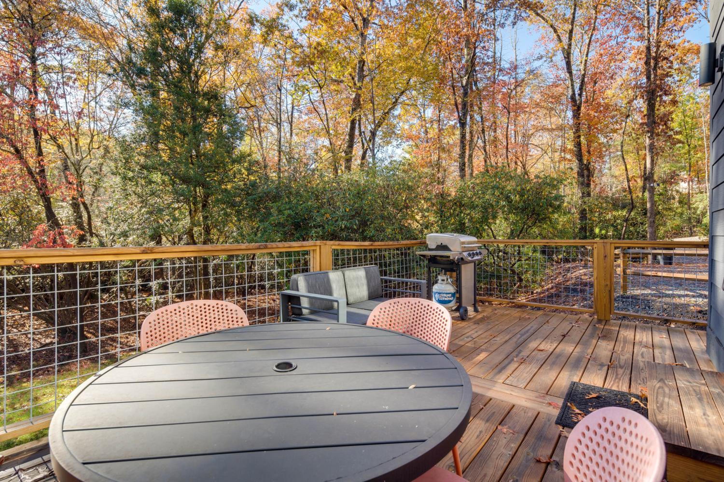 4 Mi to Dtwn Brevard Modern Pisgah Forest Getaway