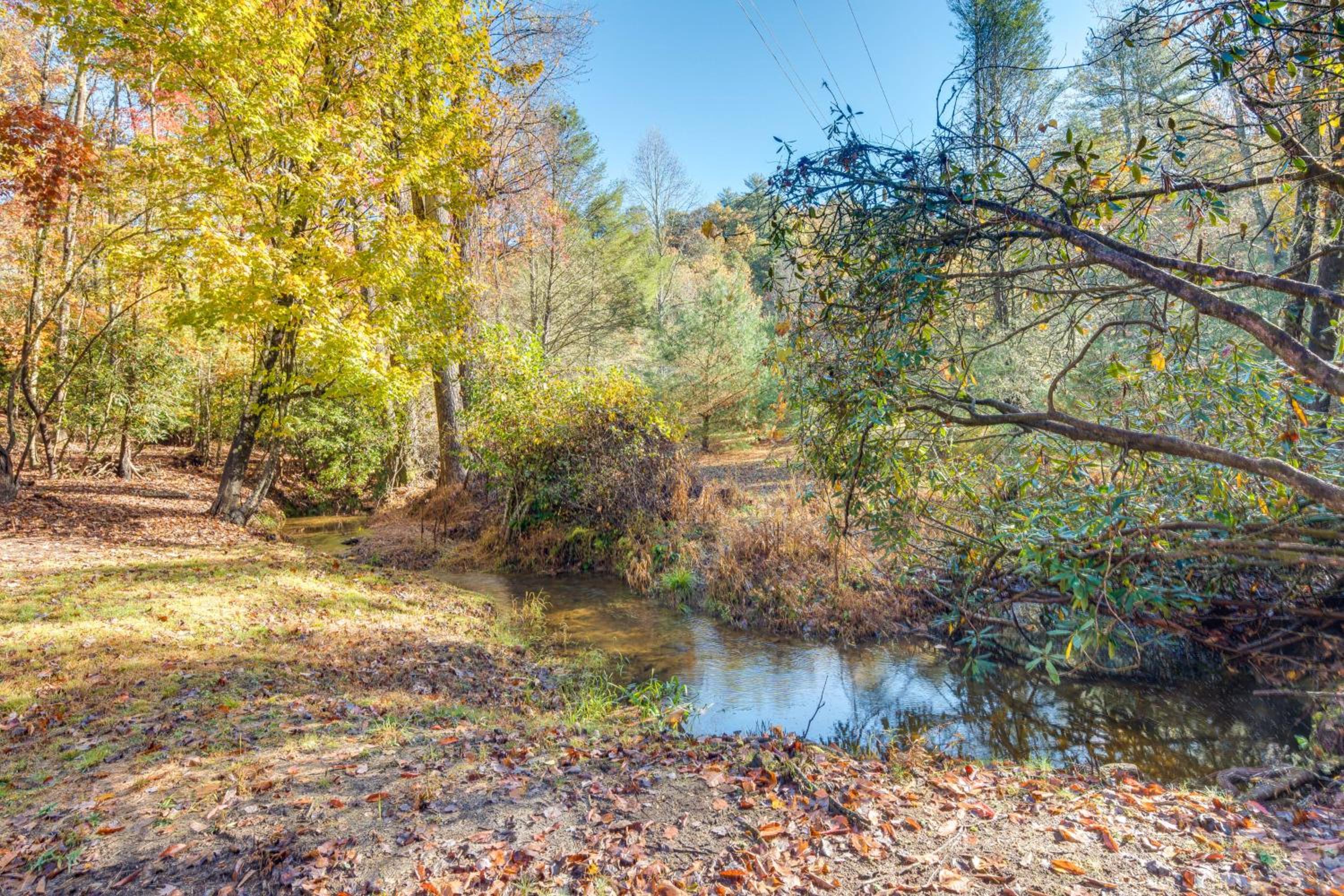 4 Mi to Dtwn Brevard Modern Pisgah Forest Getaway