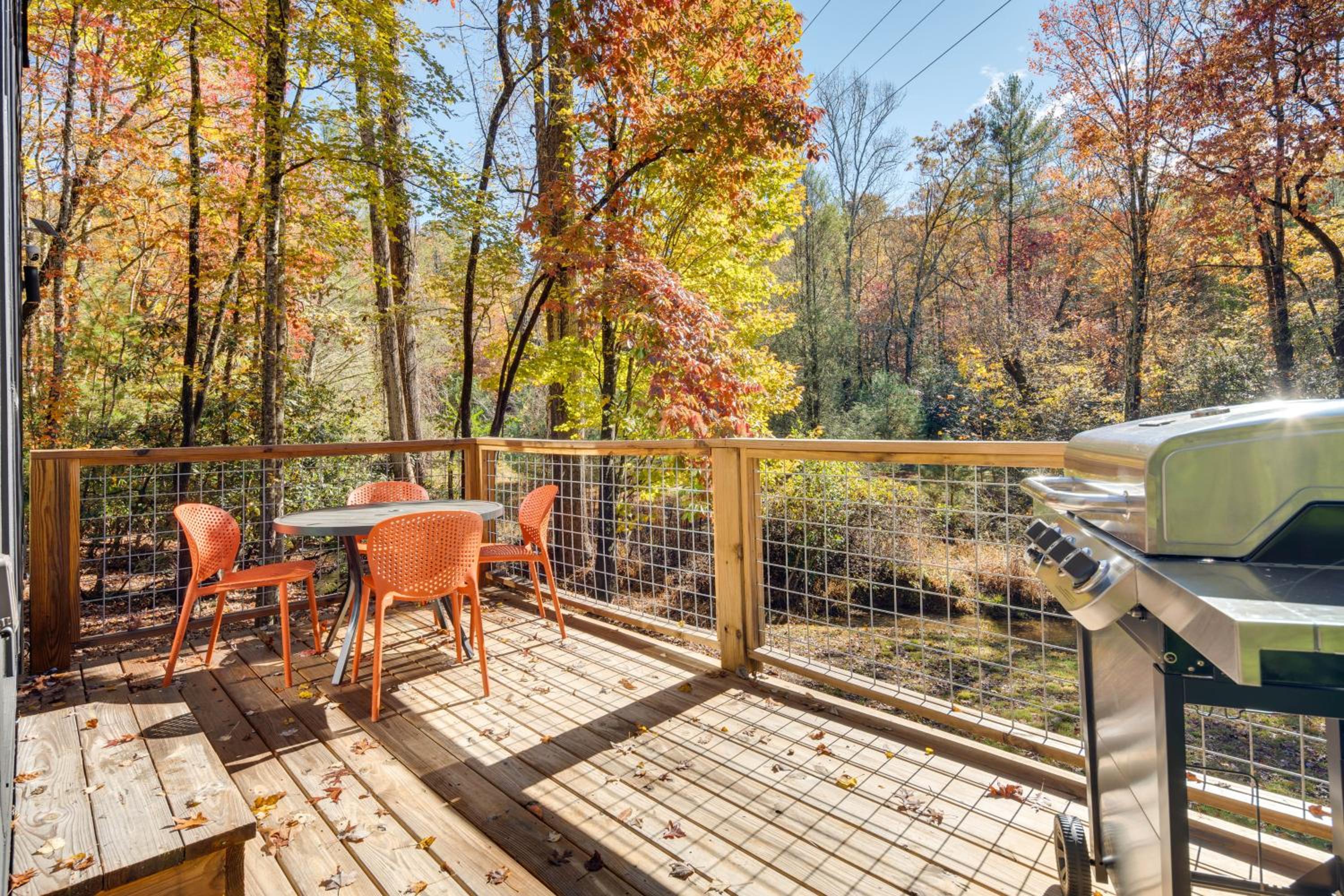 Ultimate Relaxation and Adventure Home Near Brevard