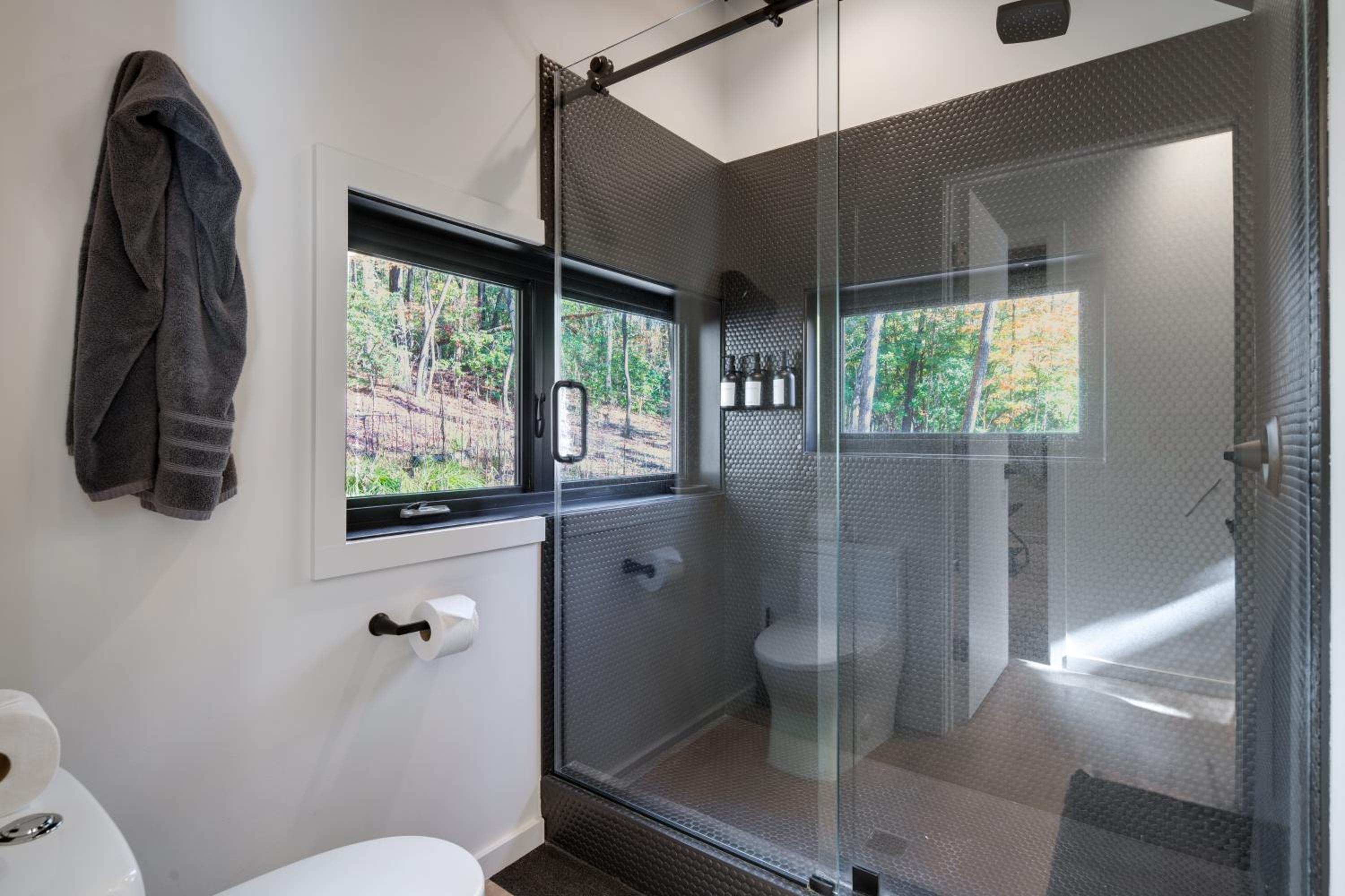 Ultimate Relaxation and Adventure Home Near Brevard