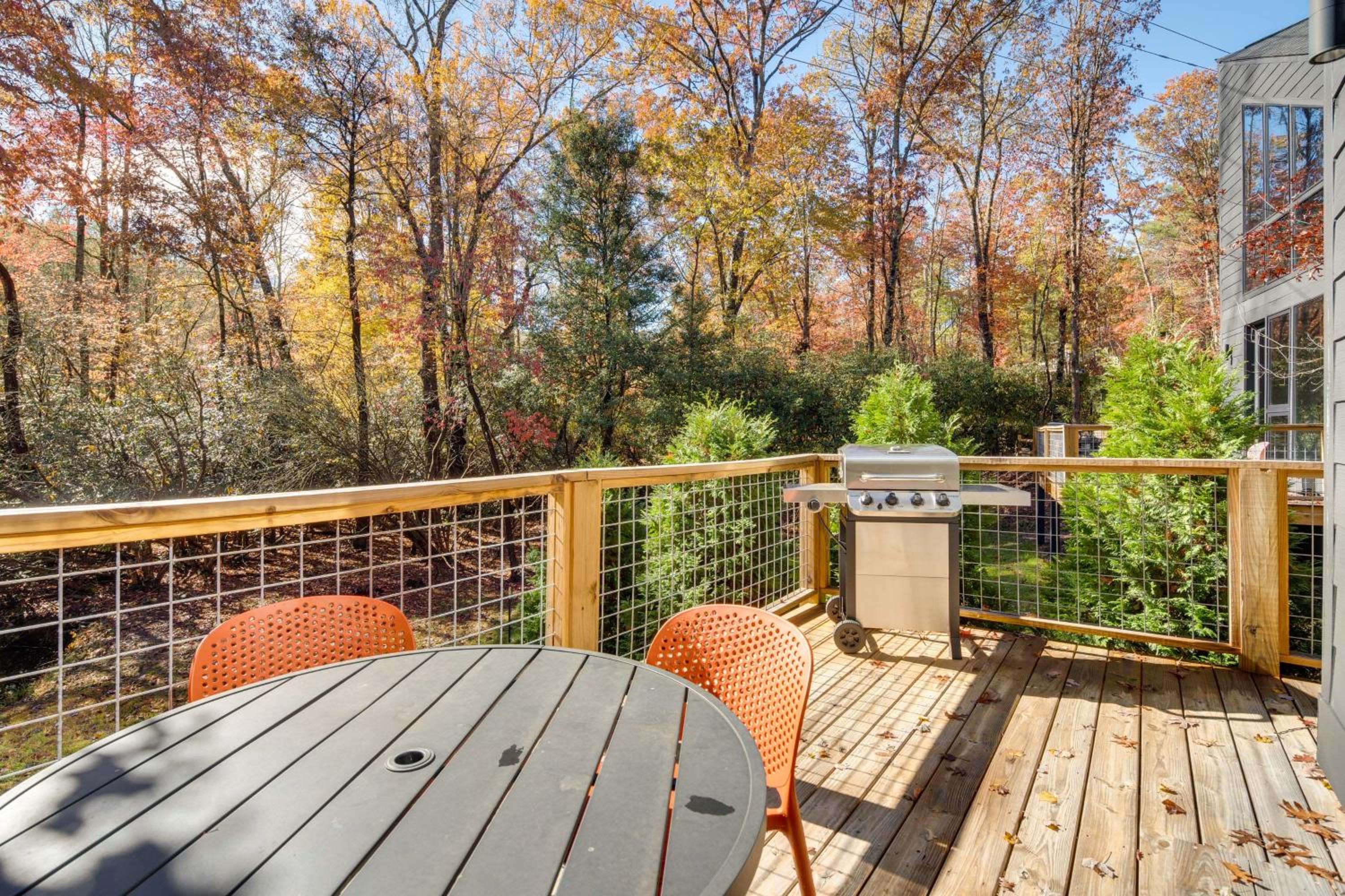 Ultimate Relaxation and Adventure Home Near Brevard