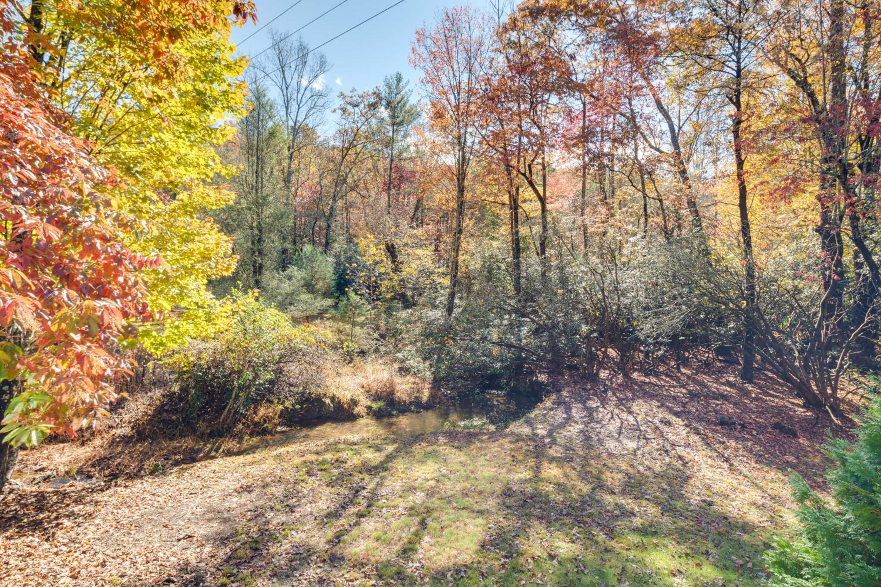 Ultimate Relaxation and Adventure Home Near Brevard