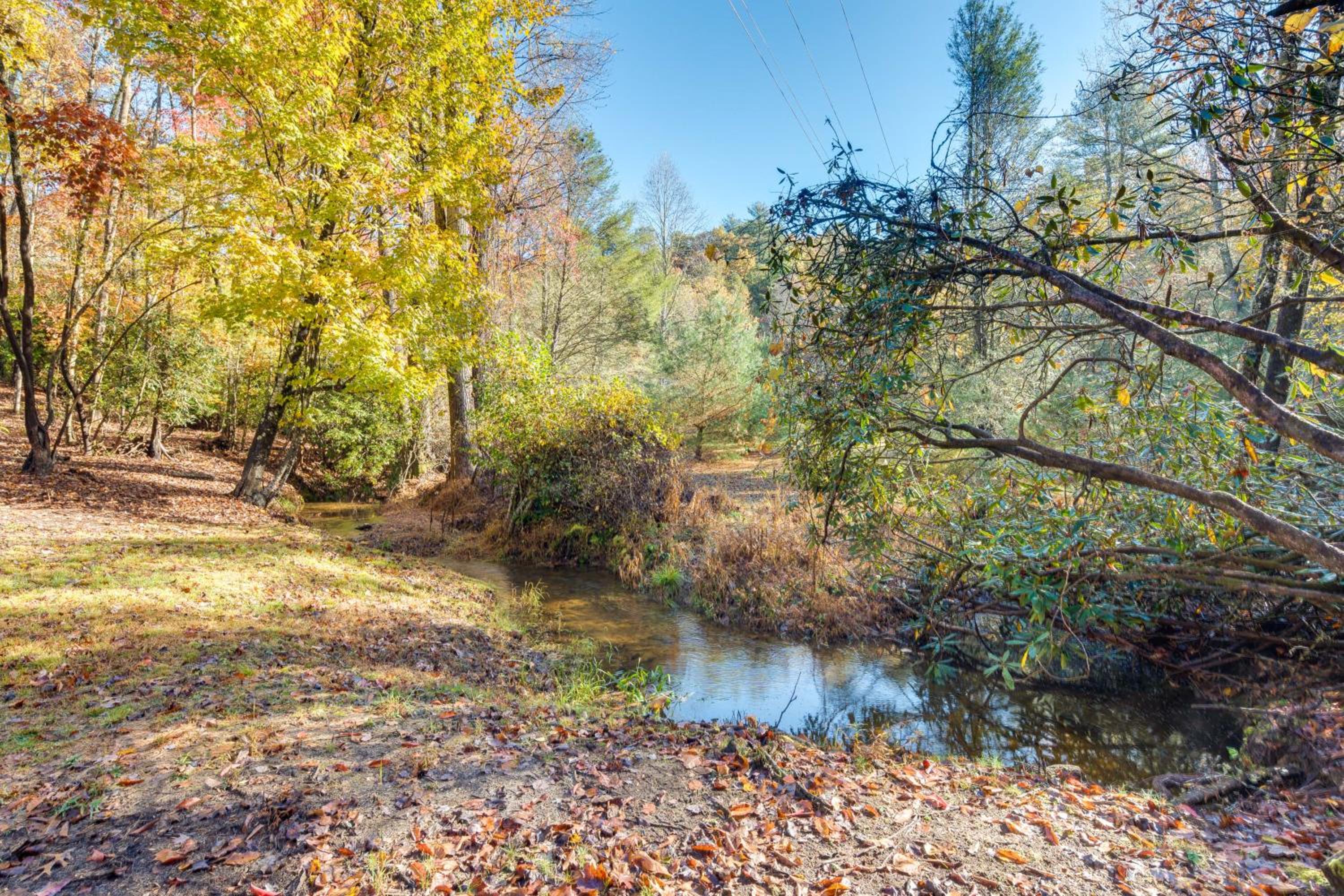 Ultimate Relaxation and Adventure Home Near Brevard
