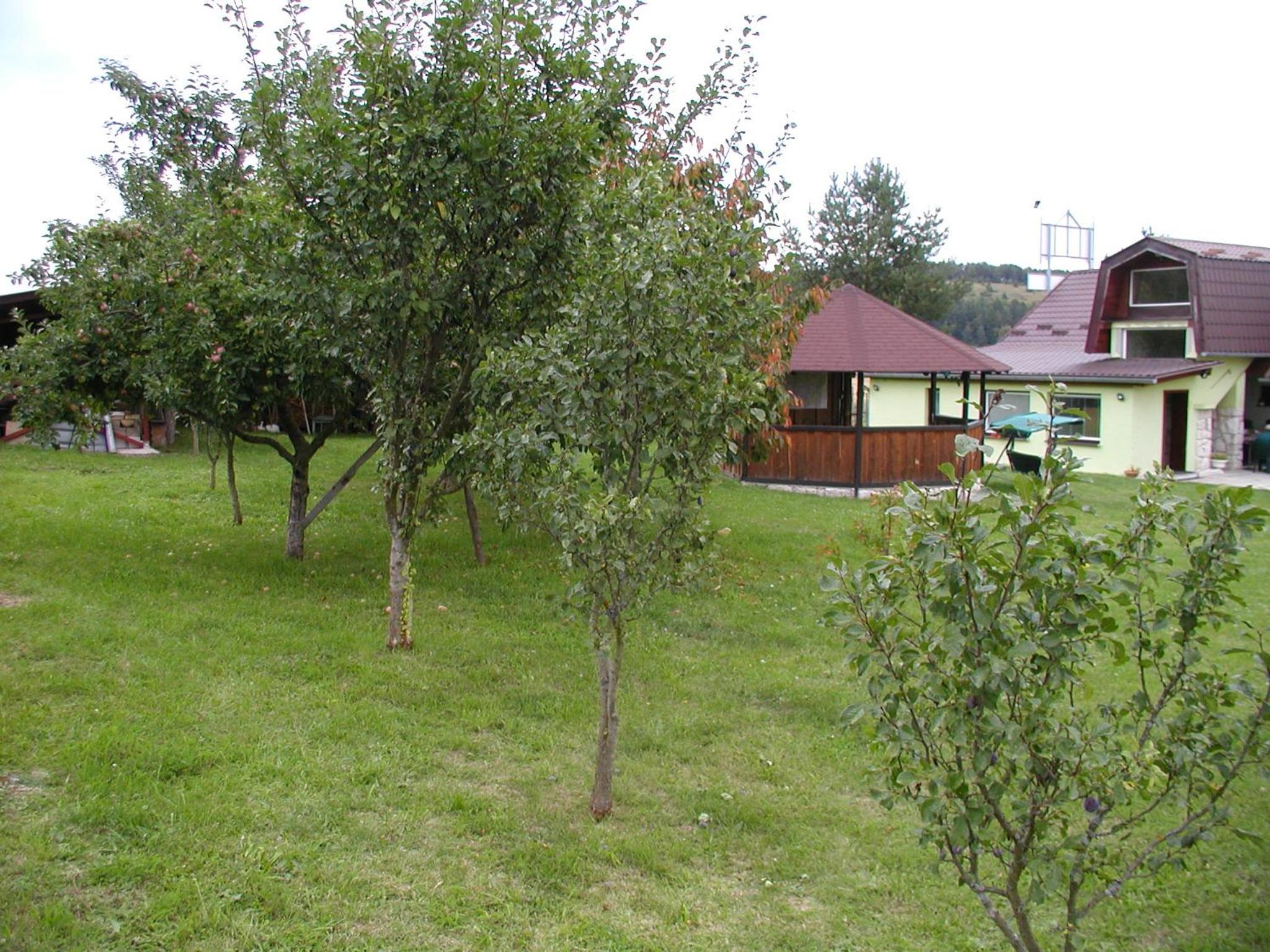 Penzion Dreveník
