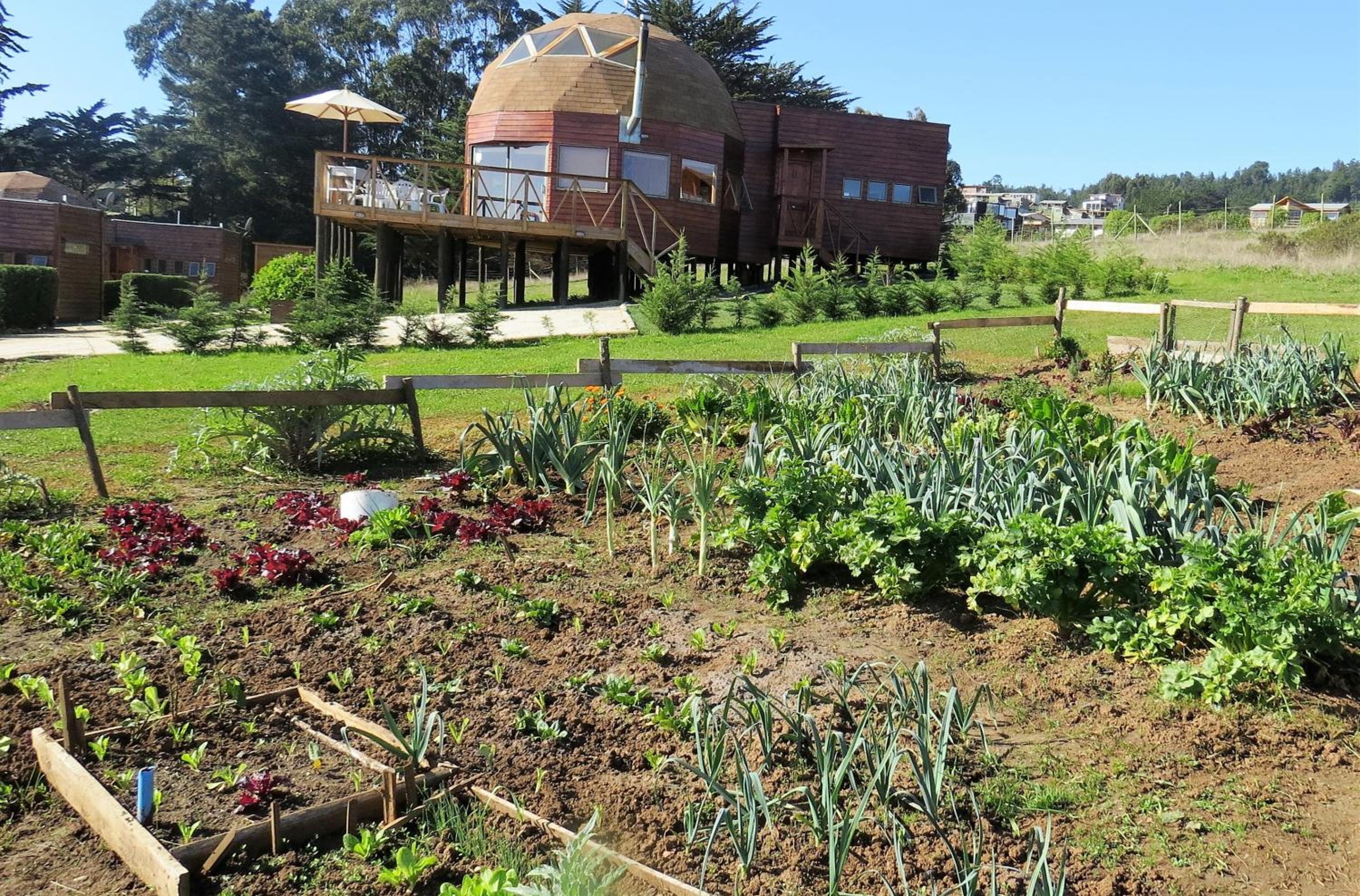 Pichilemu Domos