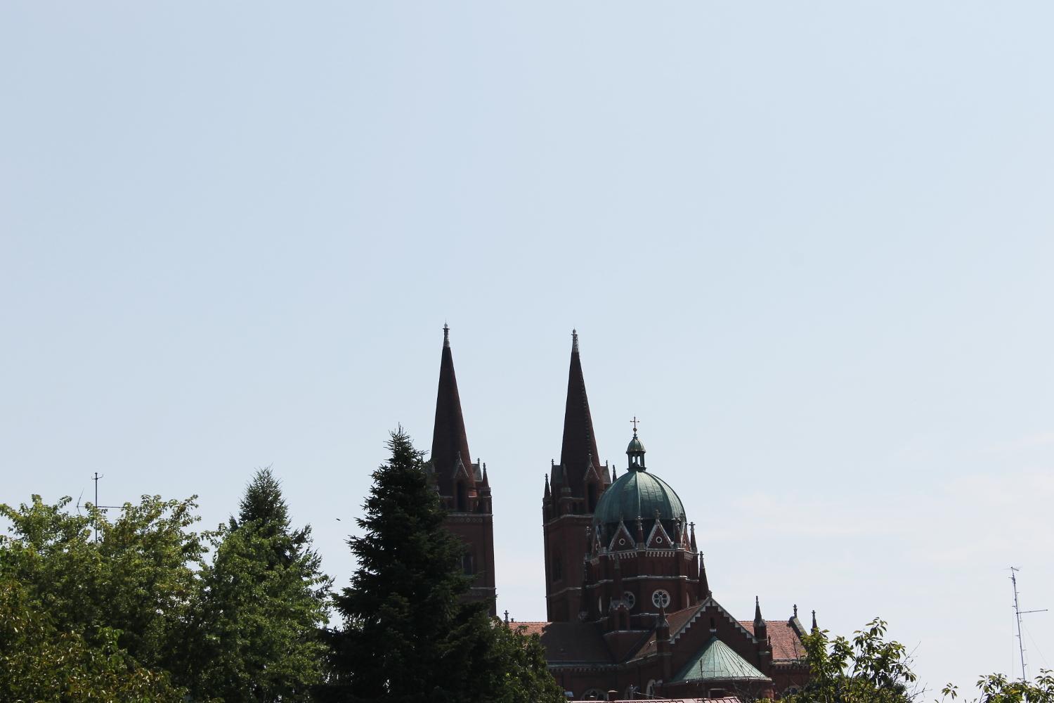 Photo 55
